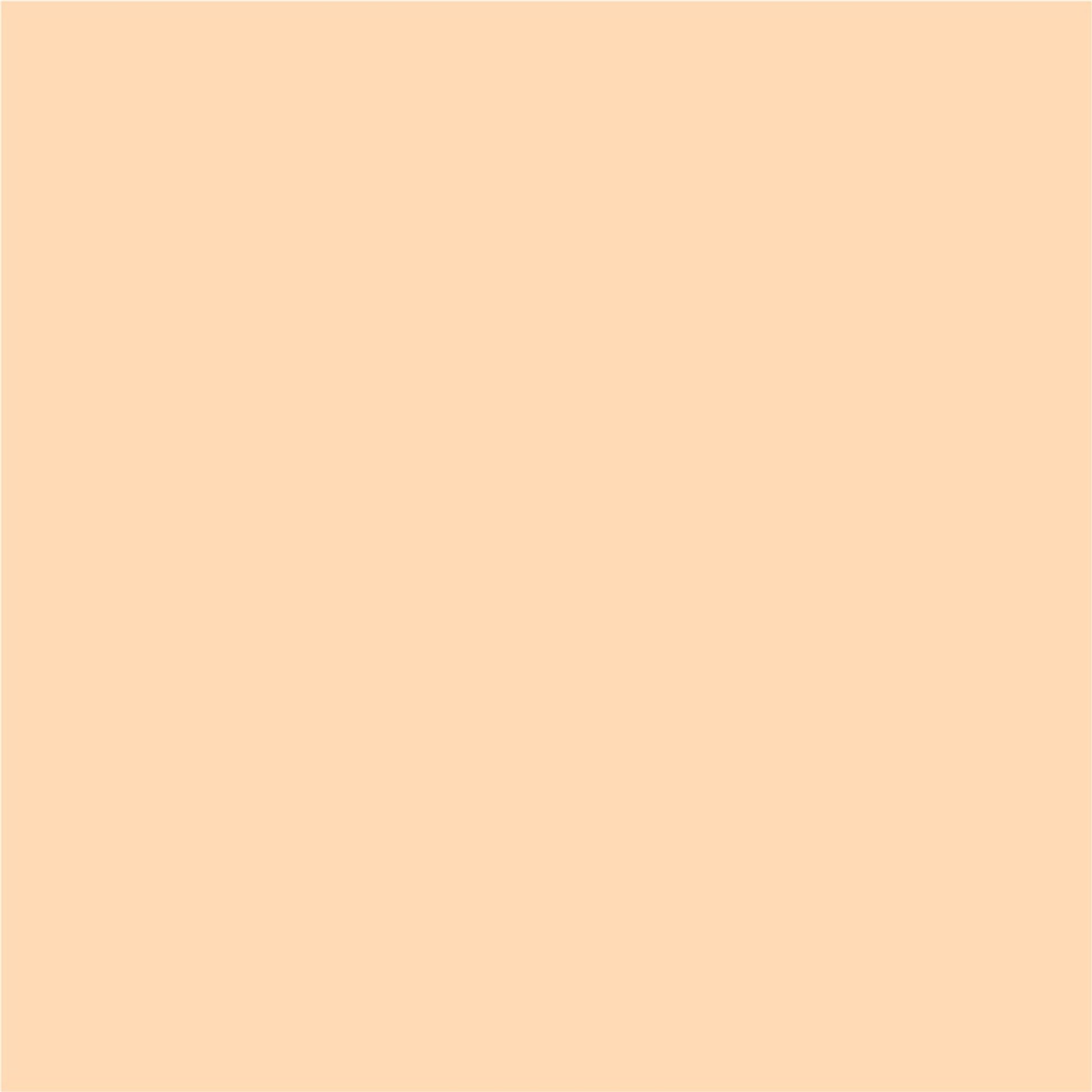 Matt Look Bare Canvas Hydra Foundation - Peach Glow 