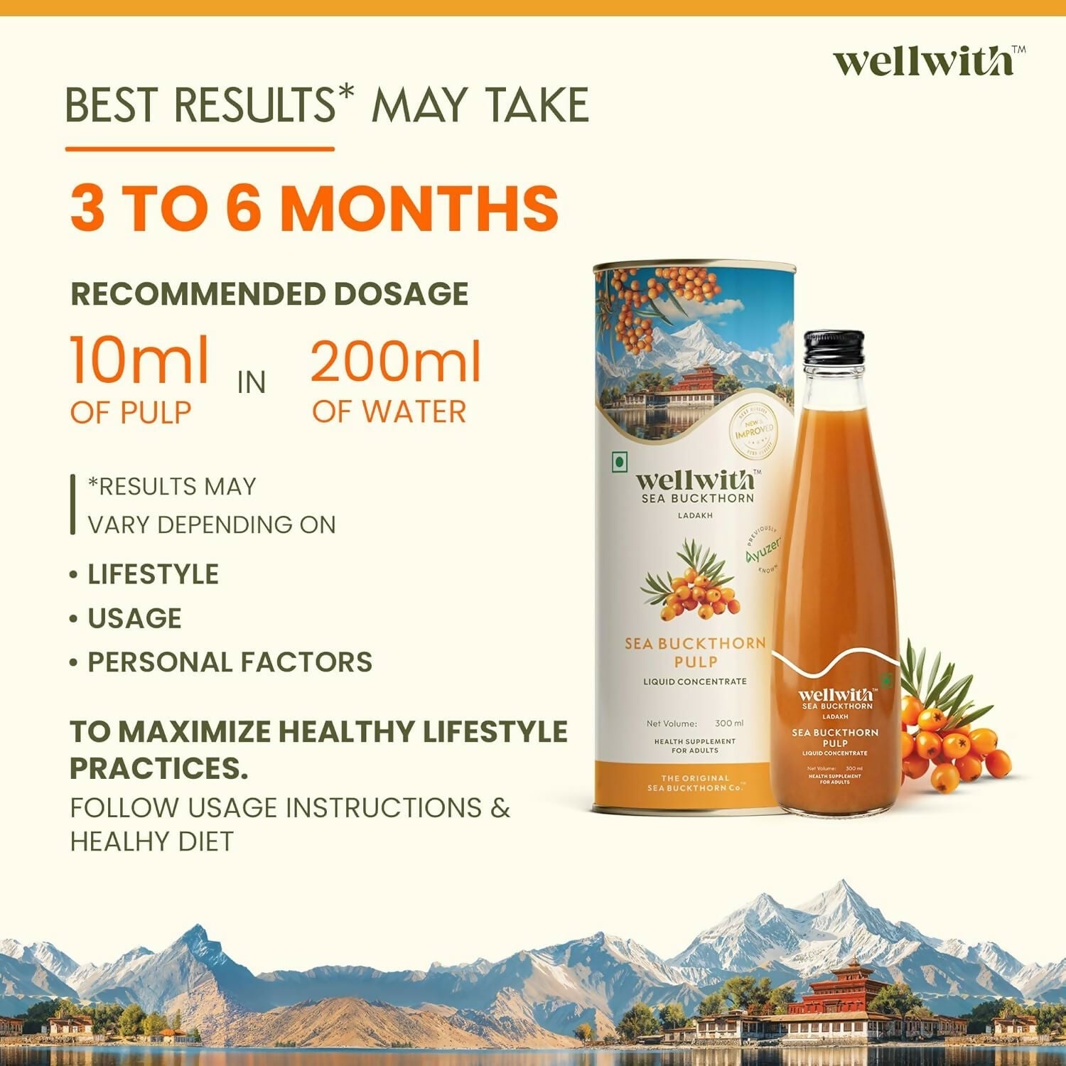 Wellwith Himalayan Sea Buckthorn Pulp  Grab2Buy Wellwith Grab2Buy