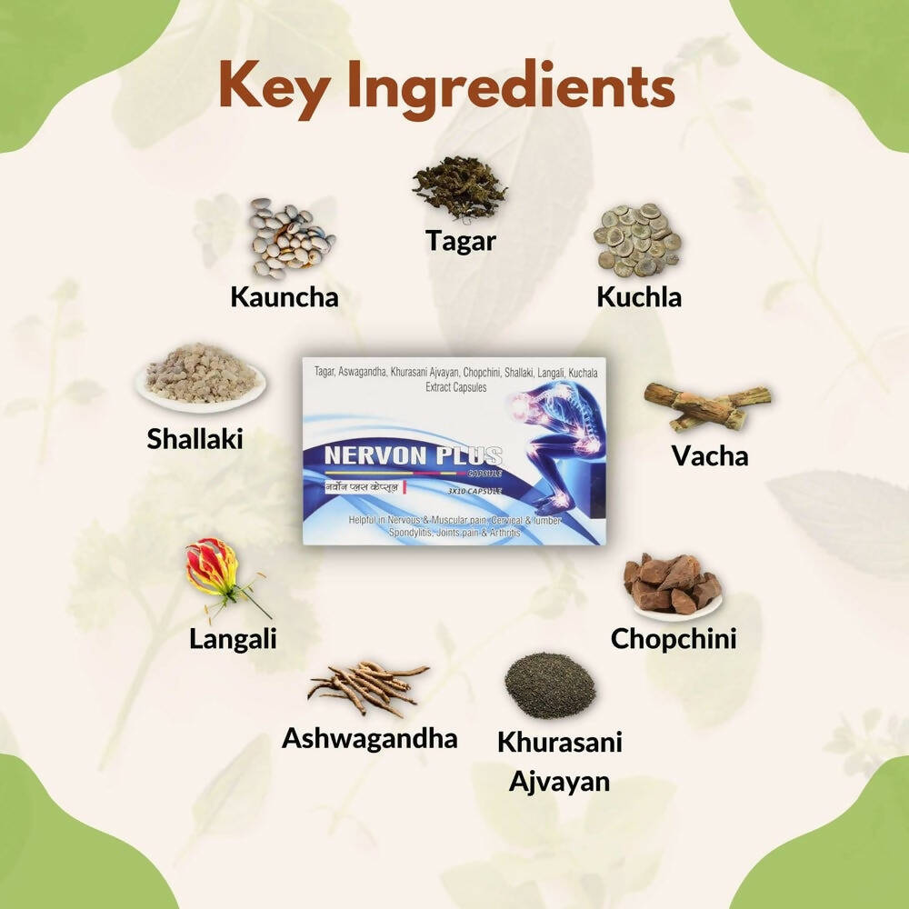 SN Herbals Nervon Plus Capsules - Grab2buy