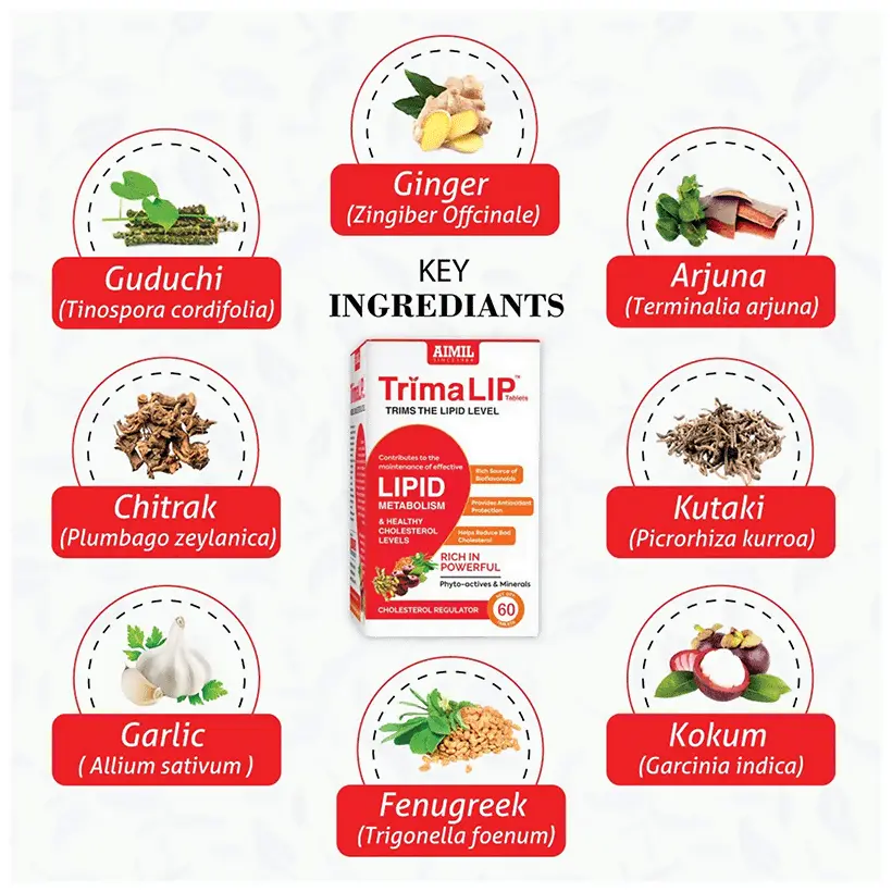 download - 2025-07-19T105031.014