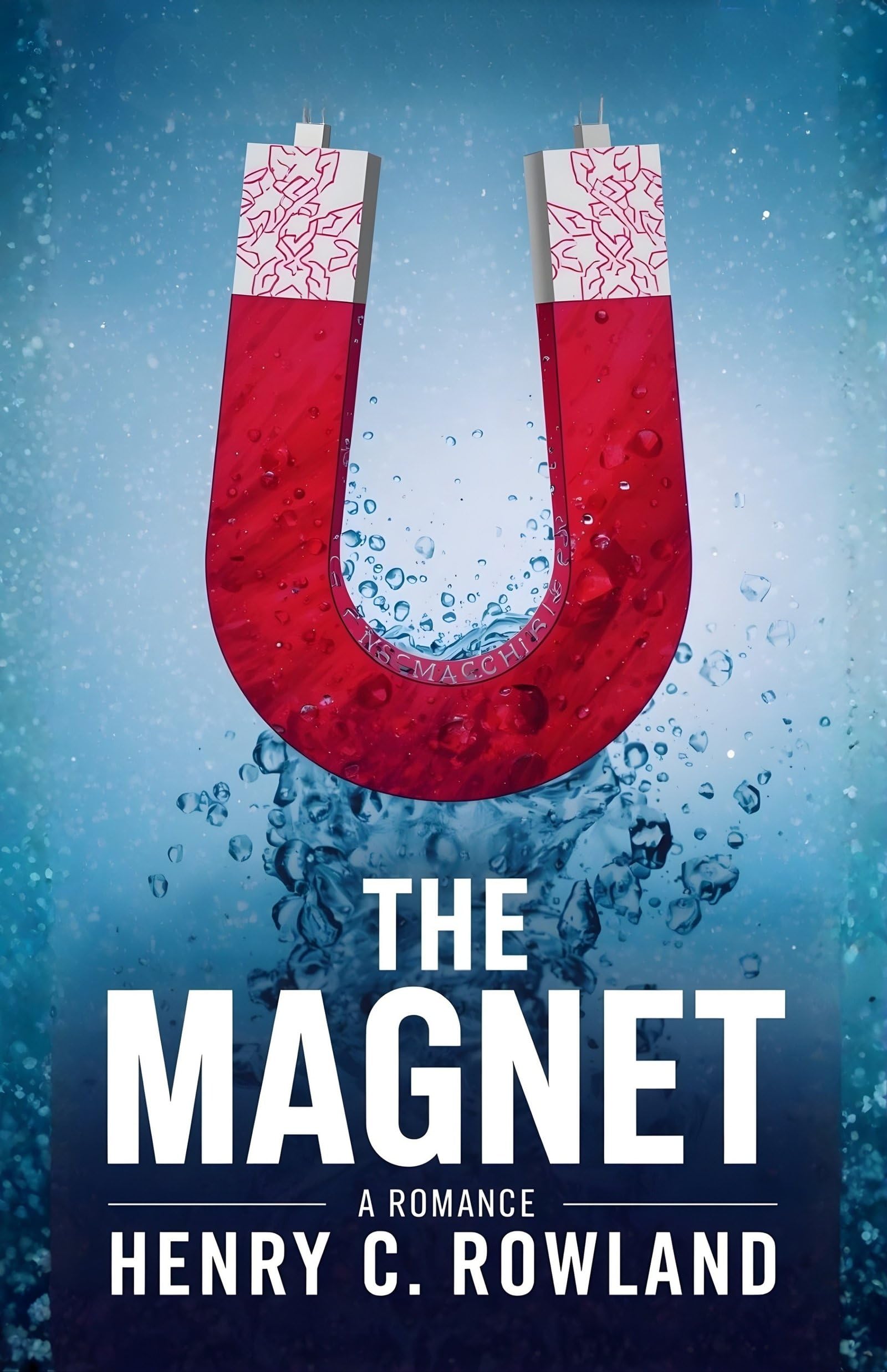 The Magnet A Romance : Passion, Intrigue, And Adventure In A Timeless Tale  Grab2Buy DD Books Grab2Buy
