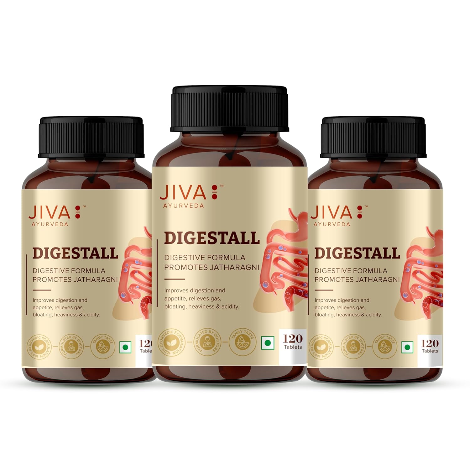 Jiva Ayurveda Digestall Tablets 
