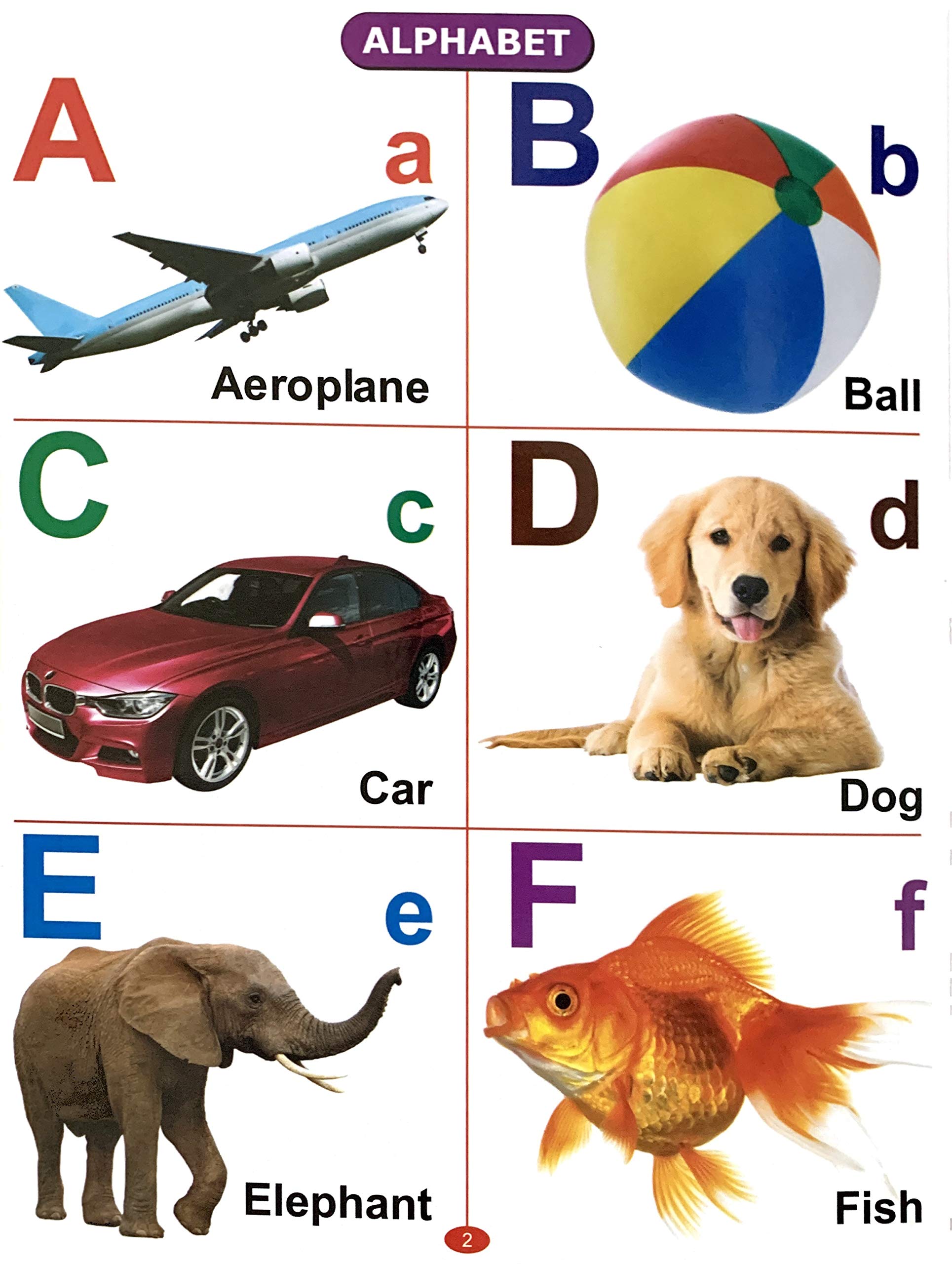 My First Board Book Of All In One