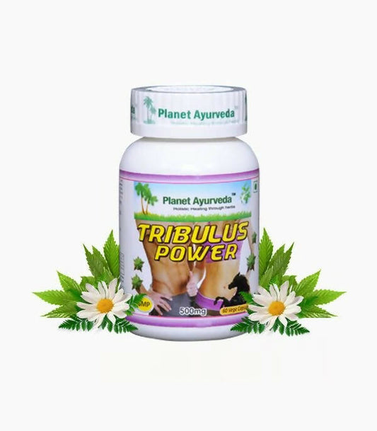 Planet Ayurveda Tribulus Power - Grab2buy