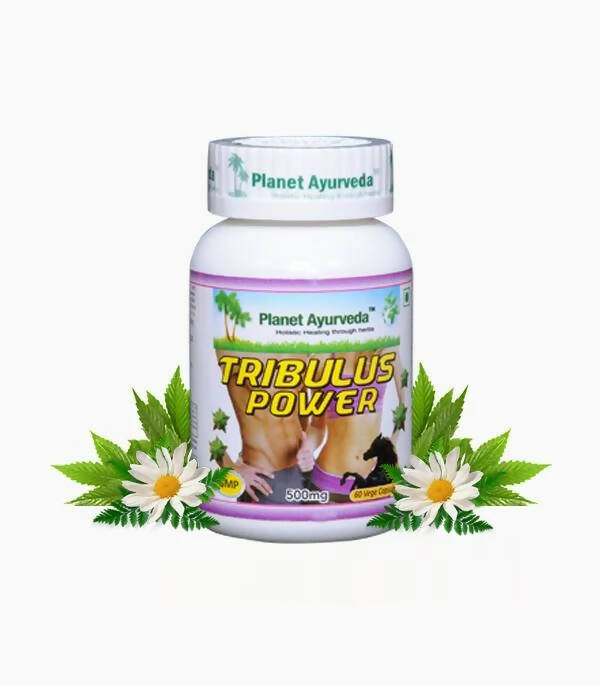 Planet Ayurveda Gokshura Power 