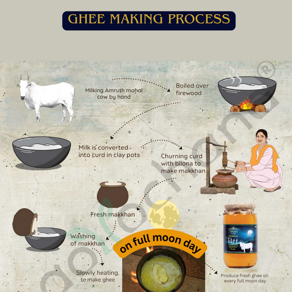 Tatsat Full Moon Day Ghee From Forest Gazing Amruth Mahal A2 Cows | Indian Hallikar Cow Ghee, Pure A2 Ghee, Natural & Healthy, Non-GMO 
