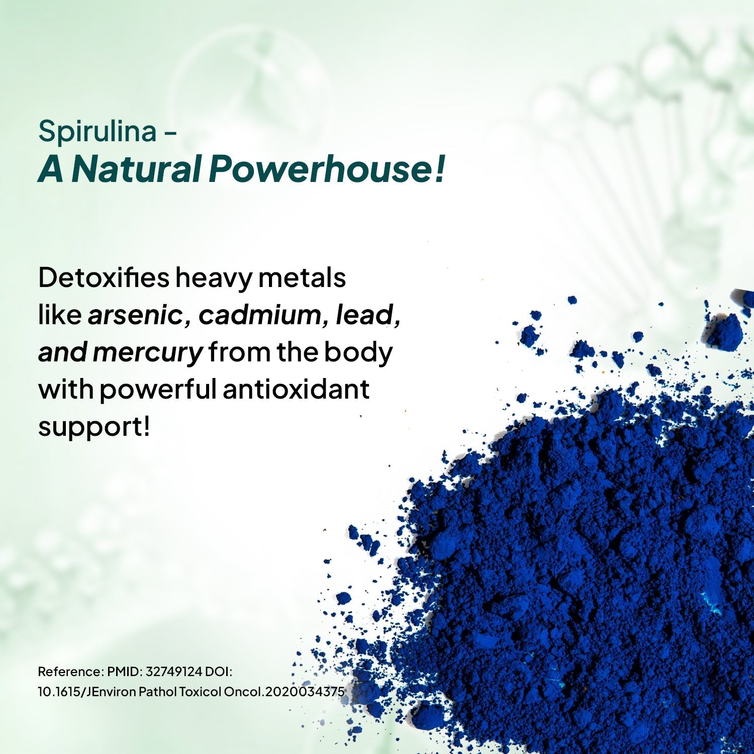 Miduty by Palak Notes Blue Spirulina Tablets 