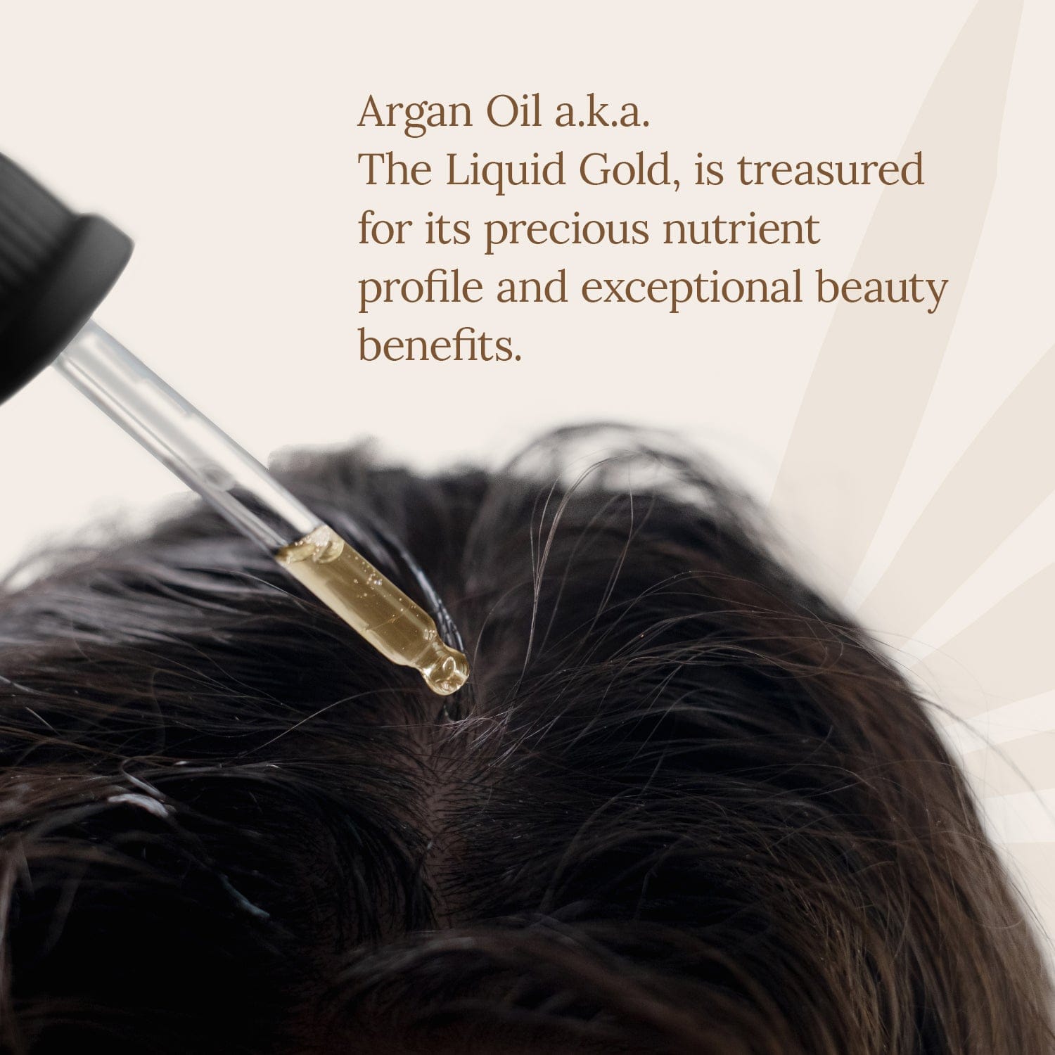 Organic Argan Oil 