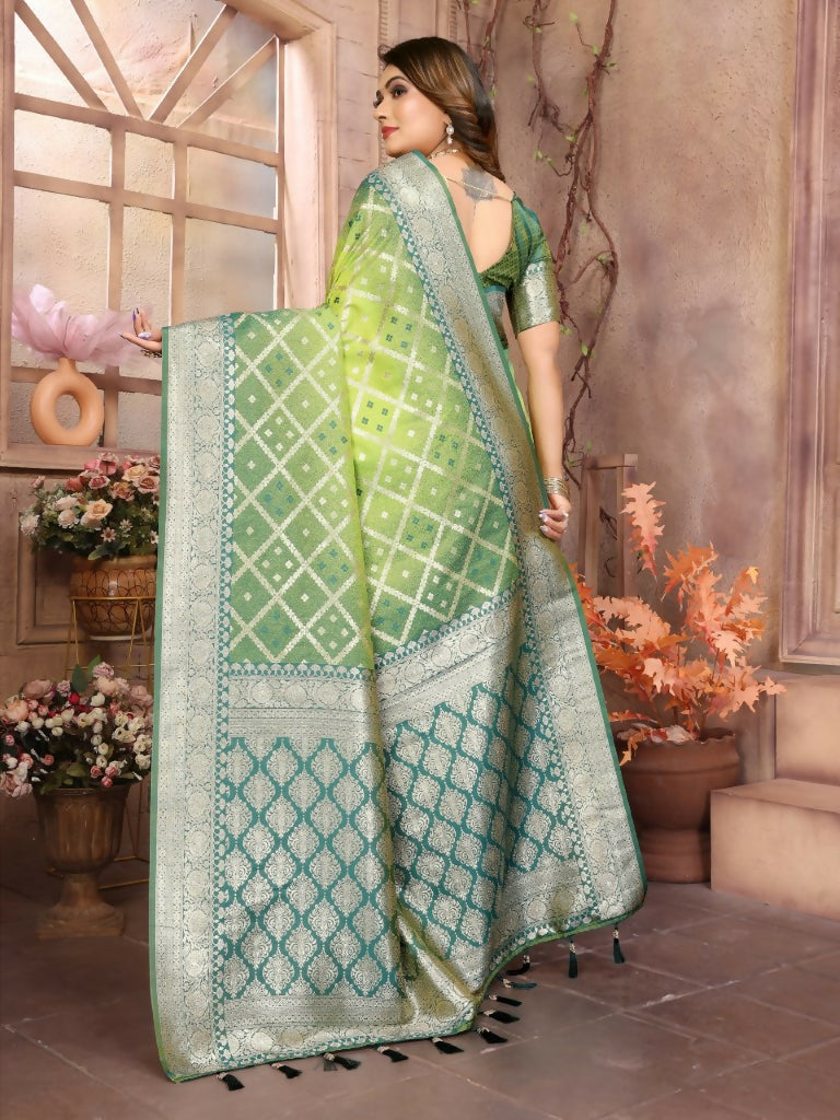 Anaita Light Green kochi Silk With Beautiful Checks Weaving Saree With Blouse
