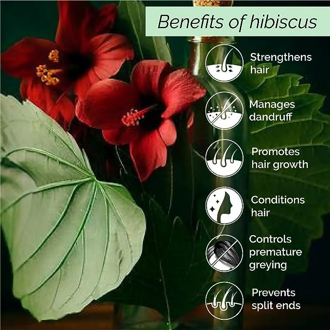 Pyoura Hibiscus Hair Mist Spray For Itchy Dry Scalp & Dandruff Non-Oily Heat Protection Hair Mist Tonic Supports Hair Growth 