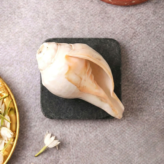 Pujashree Blowing Shankh – Natural Conch for Puja, Meditation & Sound Rituals (Small)