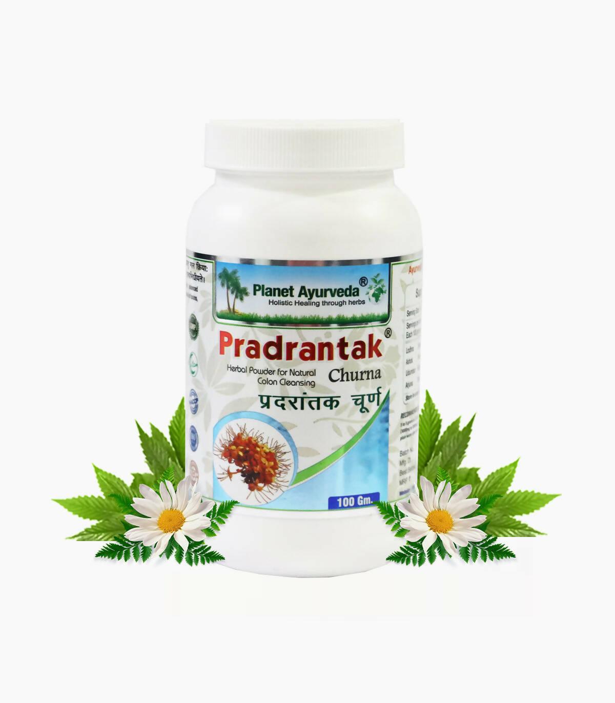 Planet Ayurveda Pradrantak Churna 