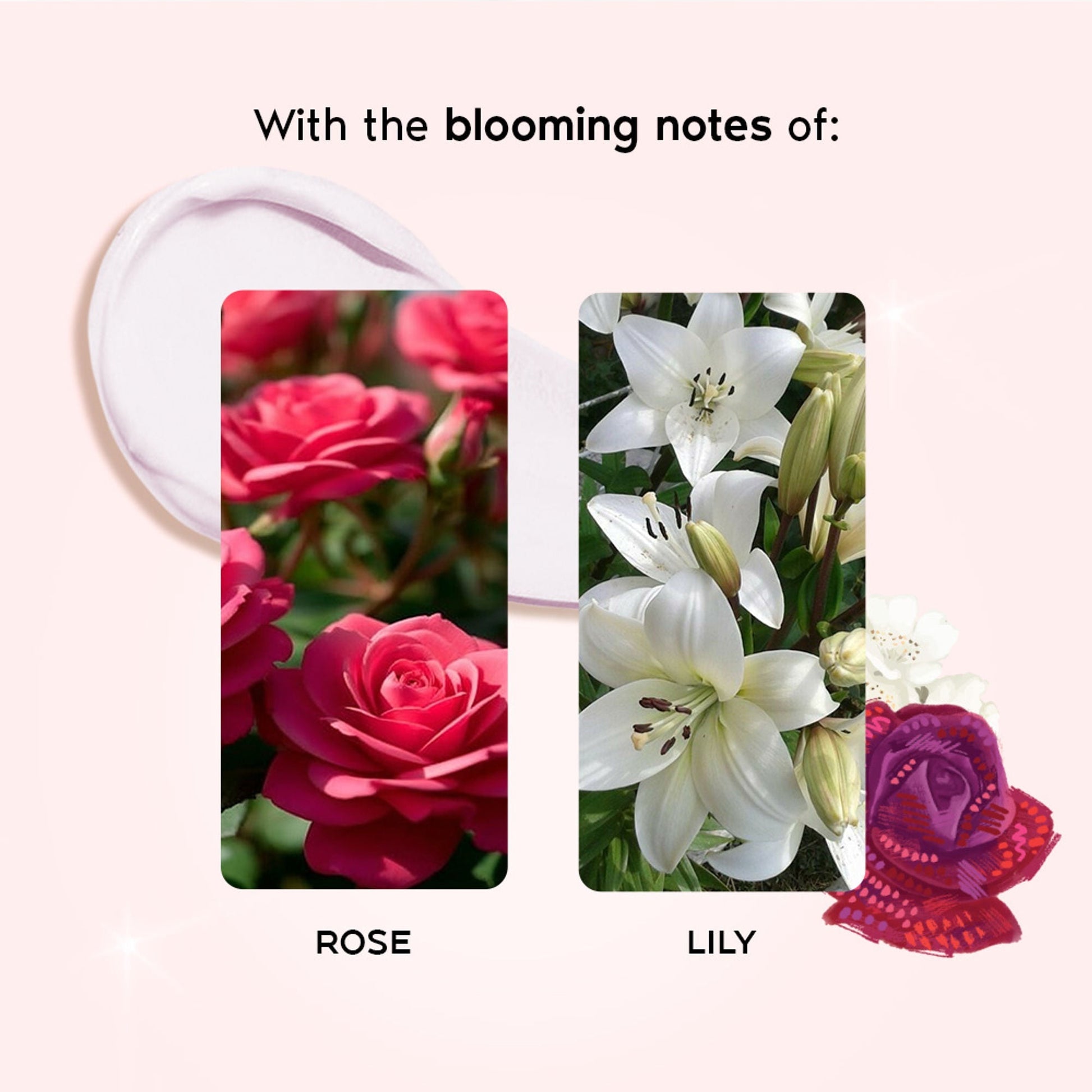 Wanderlust English Country Rose Body Butter  Grab2Buy Wanderlust Grab2Buy