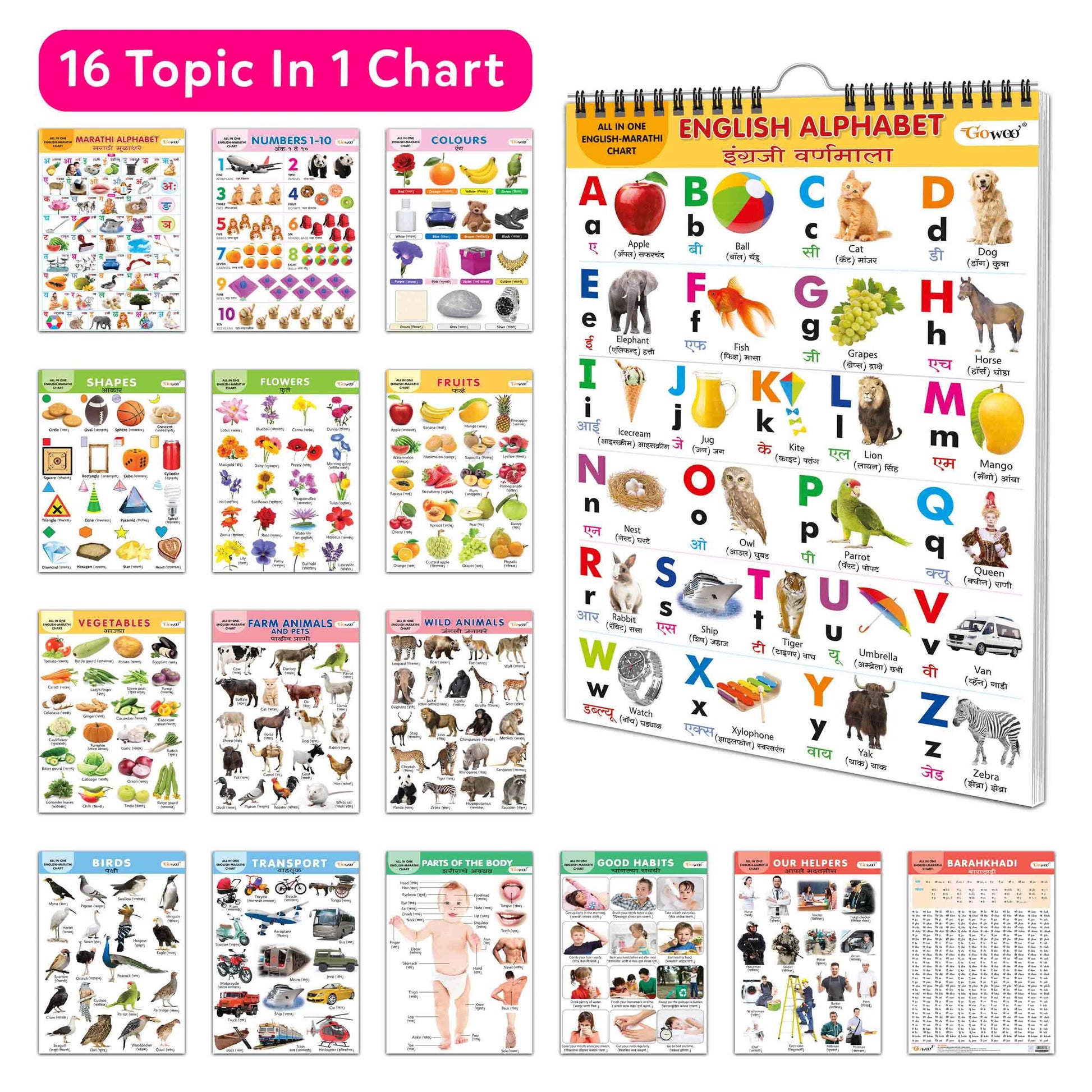 English-Marathi Chart For Kids (16 Charts ) 36 X 50 Cm - Children Spiral Wall Picture Chart