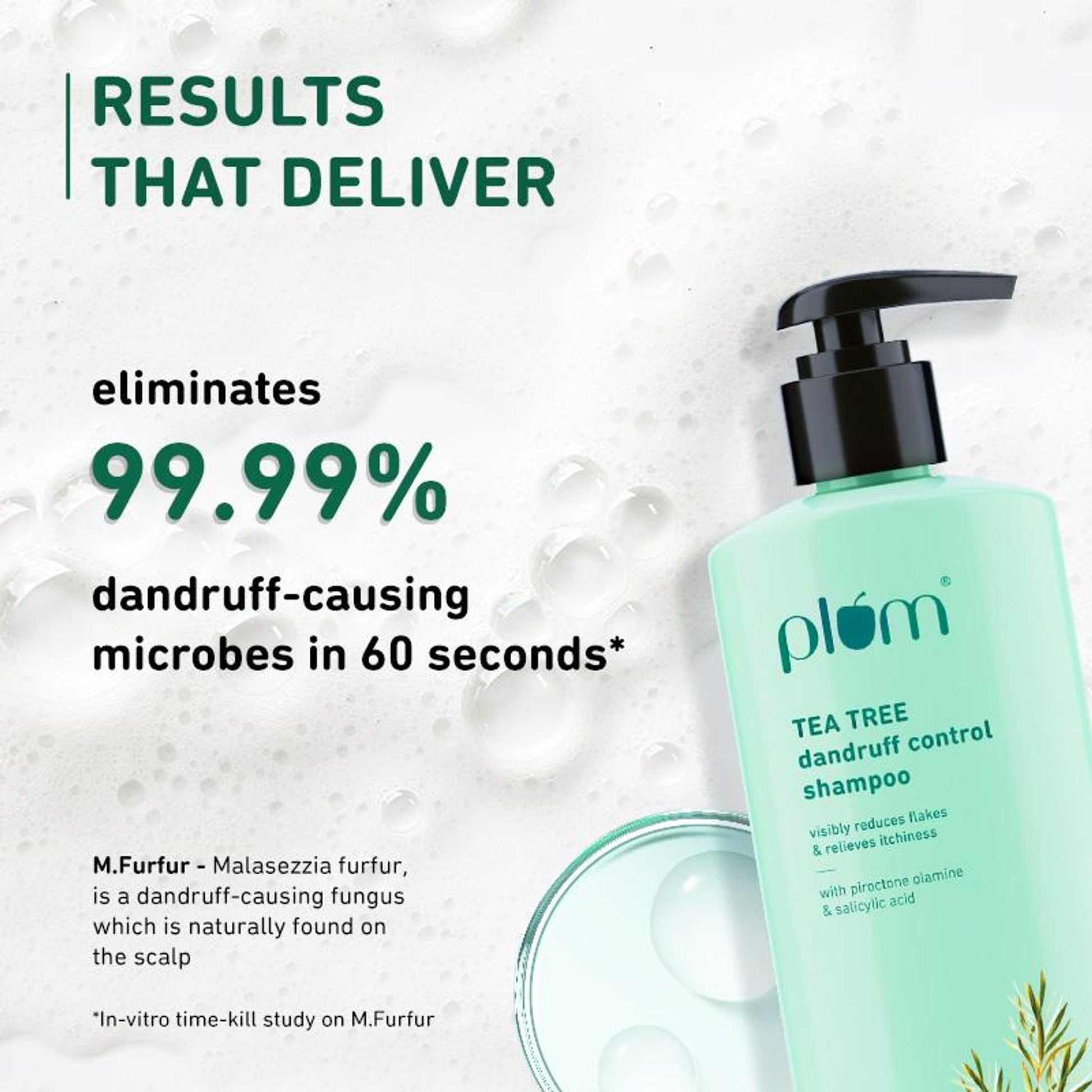 Plum Tea Tree Dandruff Control Shampoo, Paraben-Free with Piroctone Olamine