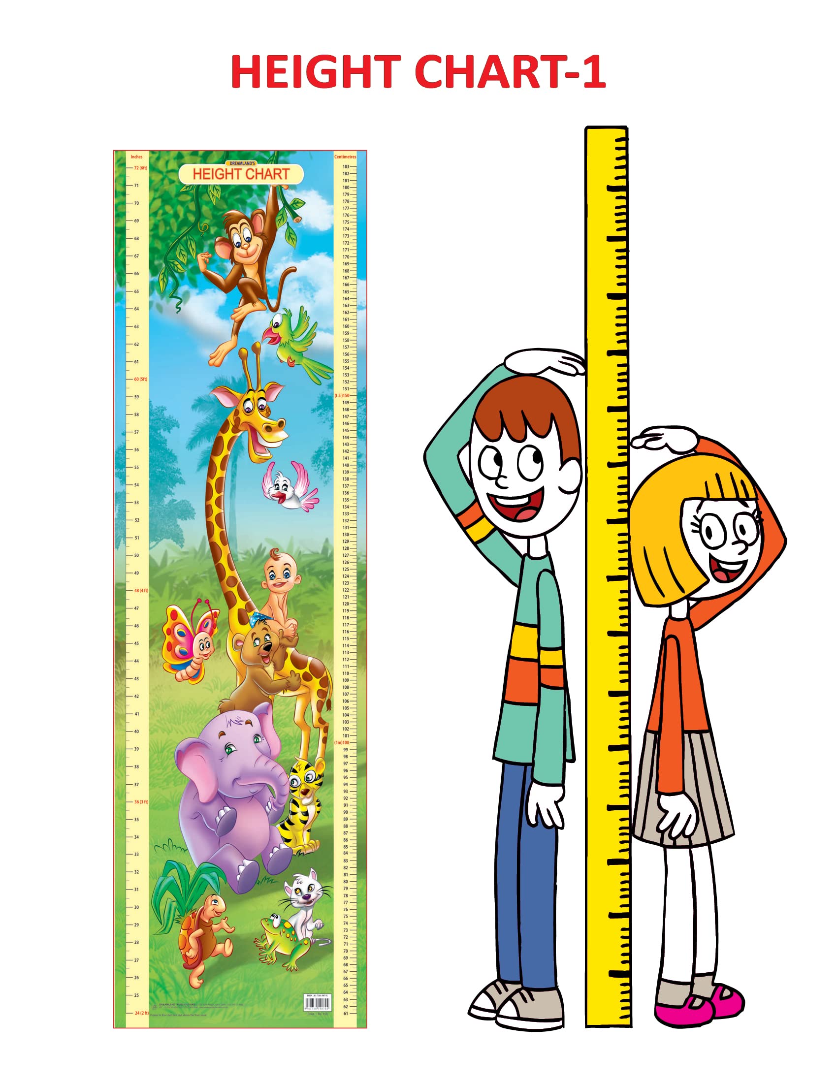 Dreamland Publications Educational Chart for Kids - Height Chart - 1