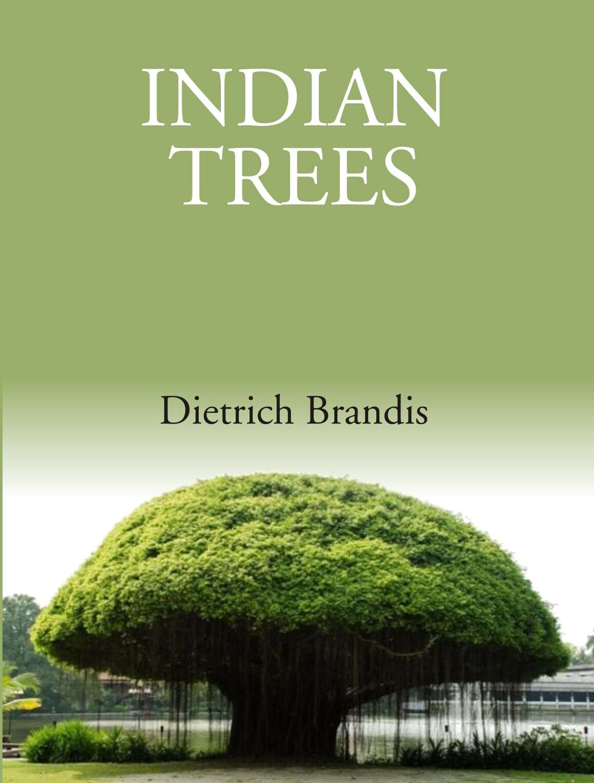 Indian Trees: An Account Of Trees, Shrubs, Woody Climbers, Bamboos And Palms Indigenous Or Commonly - Gyan Books 
