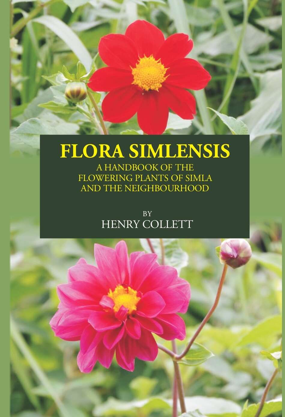 FLORA SIMLENSIS: A HANDBOOK OF THE FLOWERING PLANTS OF SIMLA AND THE NEIGHBOURHOOD - Gyan Books 