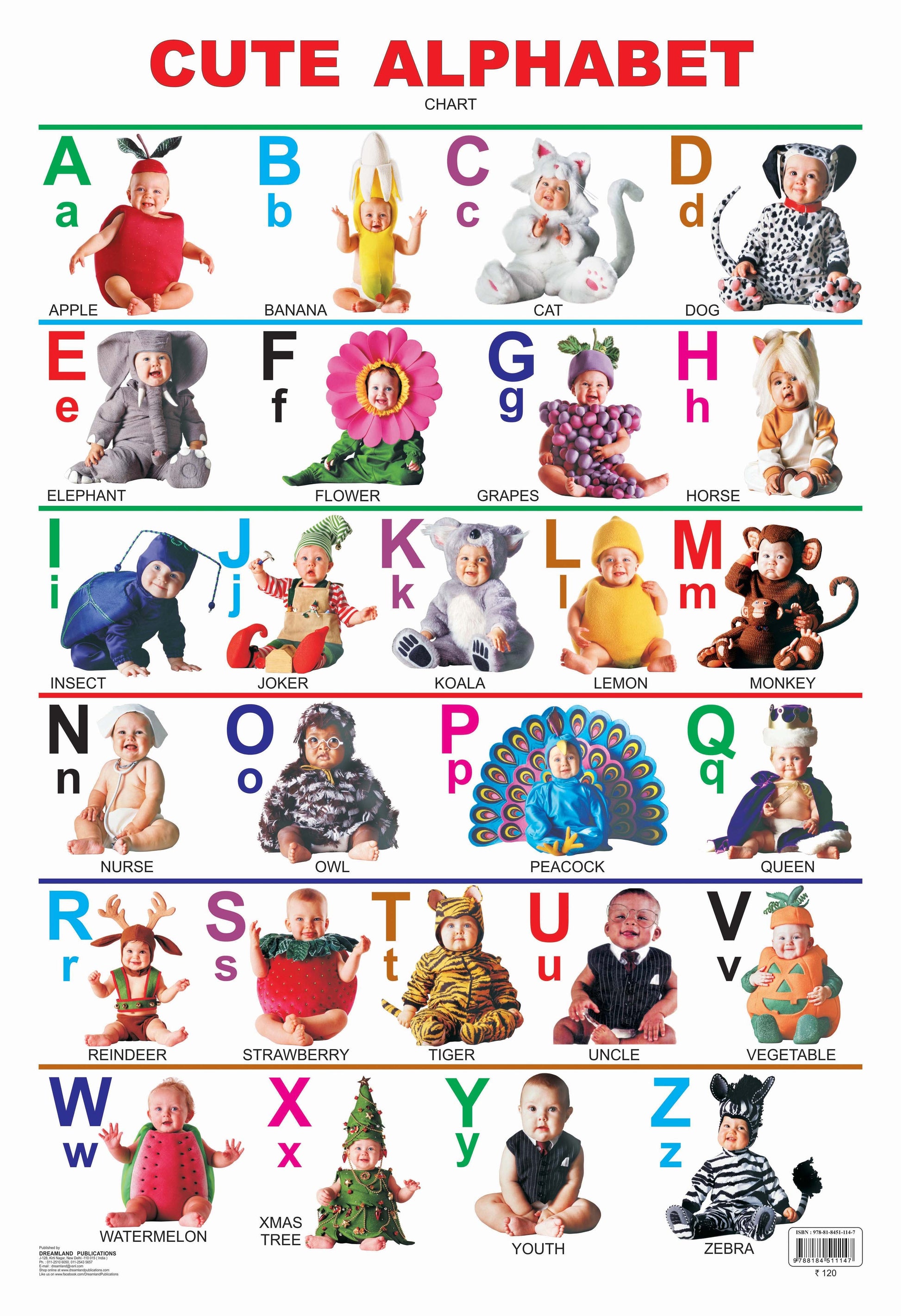 Dreamland Publications Educational Chart for Kids - Cute Alphabet