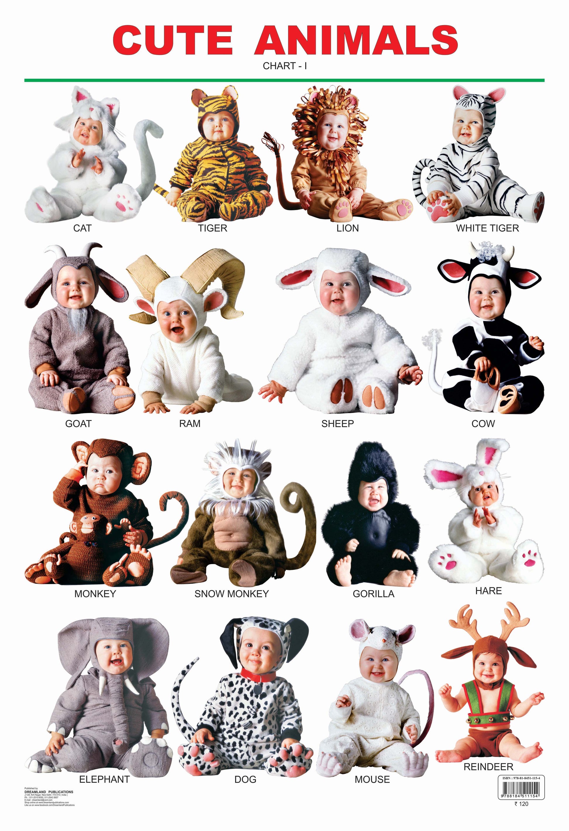 Dreamland Publications Educational Chart for Kids - Cute Animals - 1