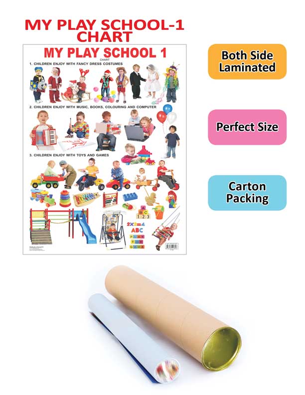 Dreamland Publications My Play School -1 : Children Early Learning Educational Laminated Chart