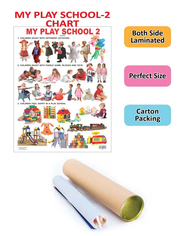 Dreamland Publications My Play School -2 : Children Early Learning Educational Laminated Chart
