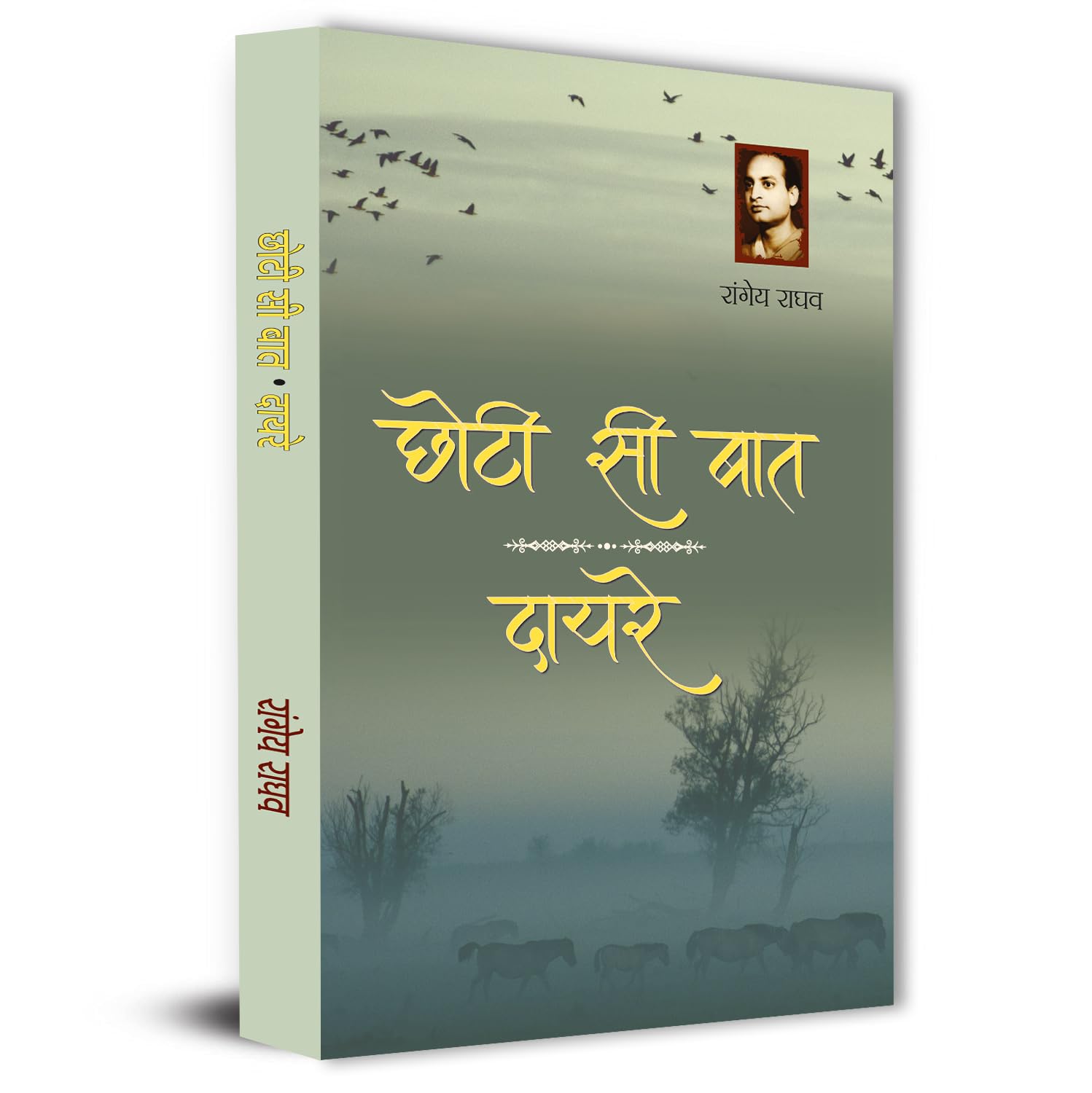 Chhoti Si Baat | Dayre By Rangeya Ragahv | A Thought-Provoking Hindi Novel On Human Emotions, Society And Personal Struggles | Philosophical And Social Literature Book In Hindi-Rangeya Raghav