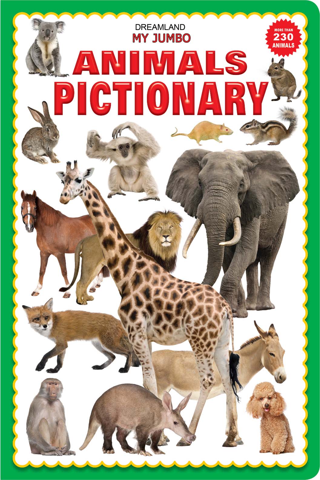 Dreamland My Jumbo Animal Pictionary