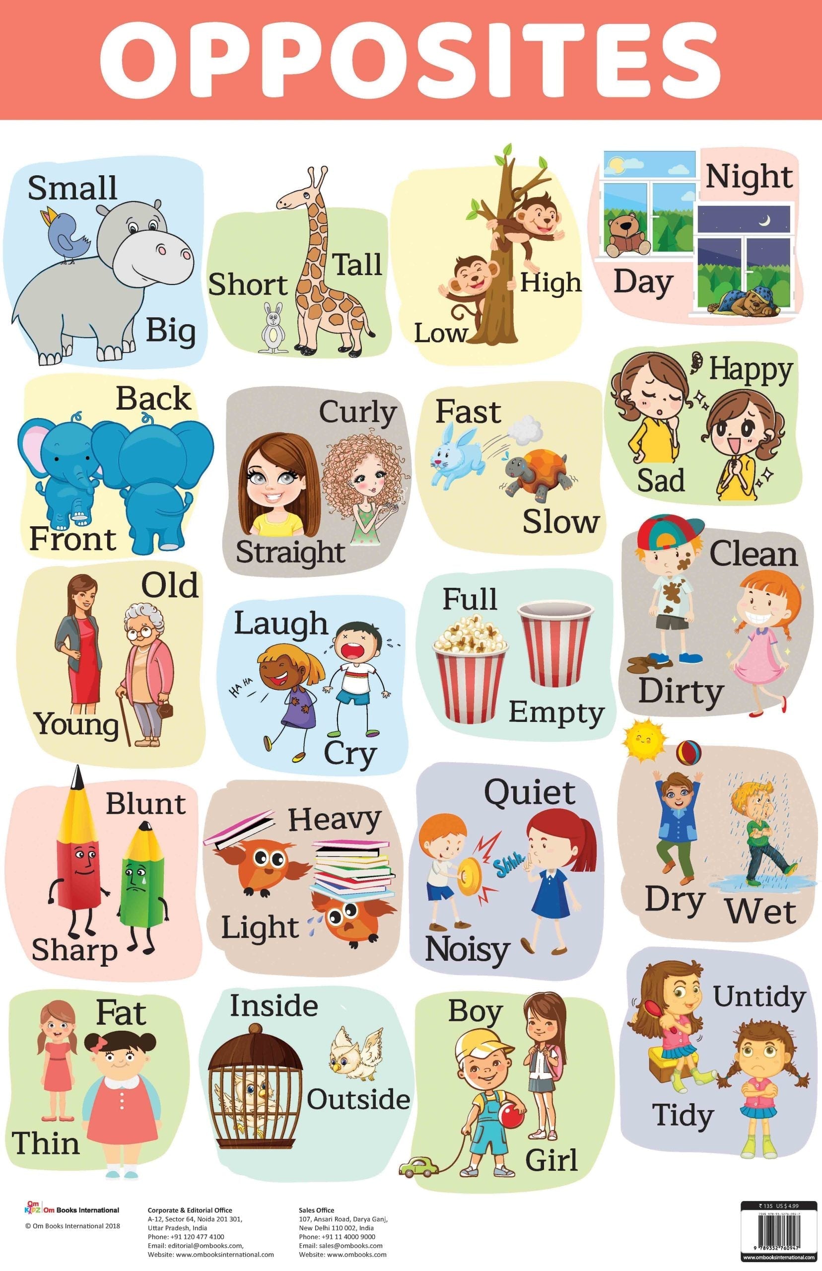 Opposites : Charts - Om Books 