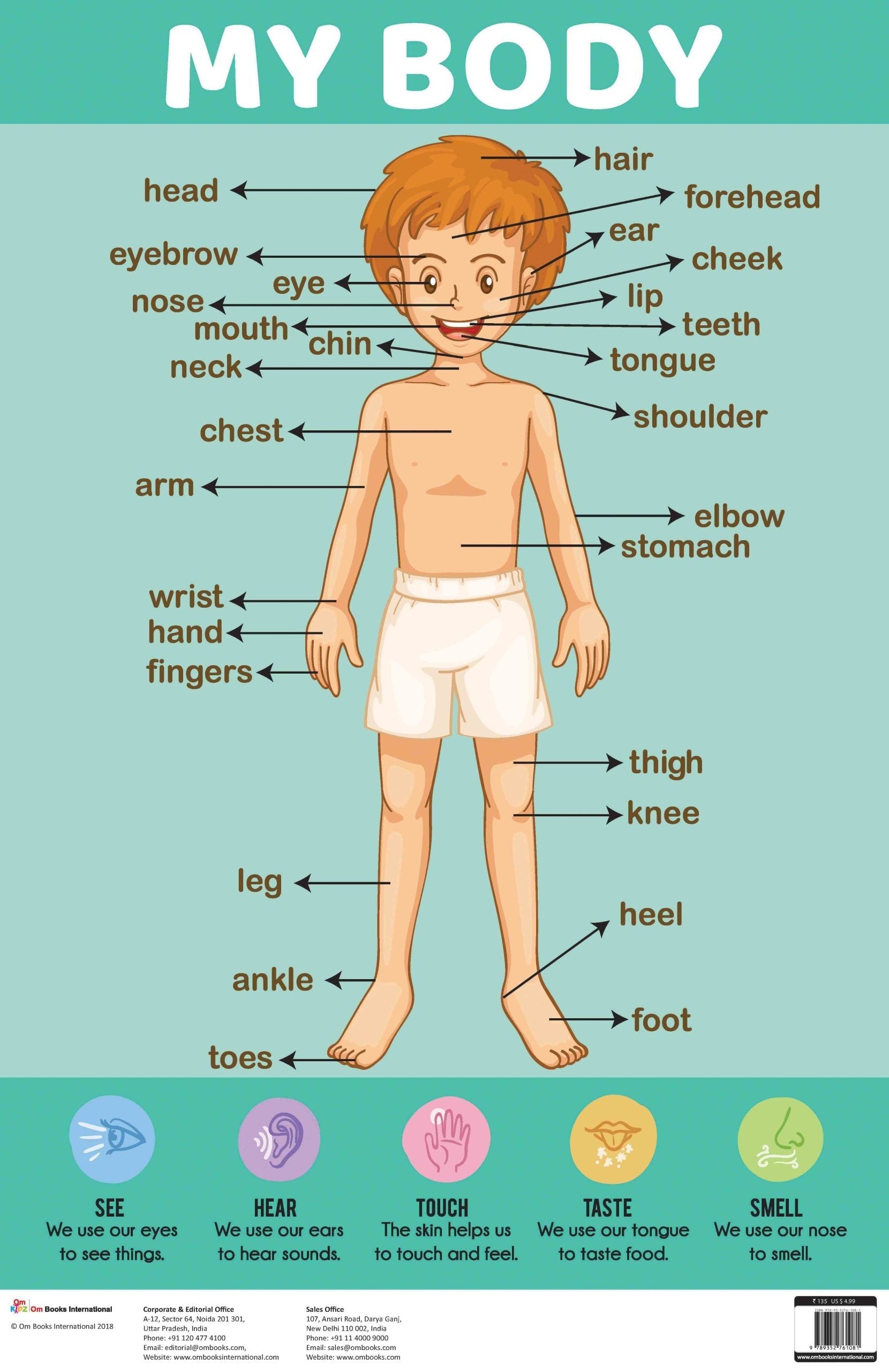 My Body : Charts - Om Books 