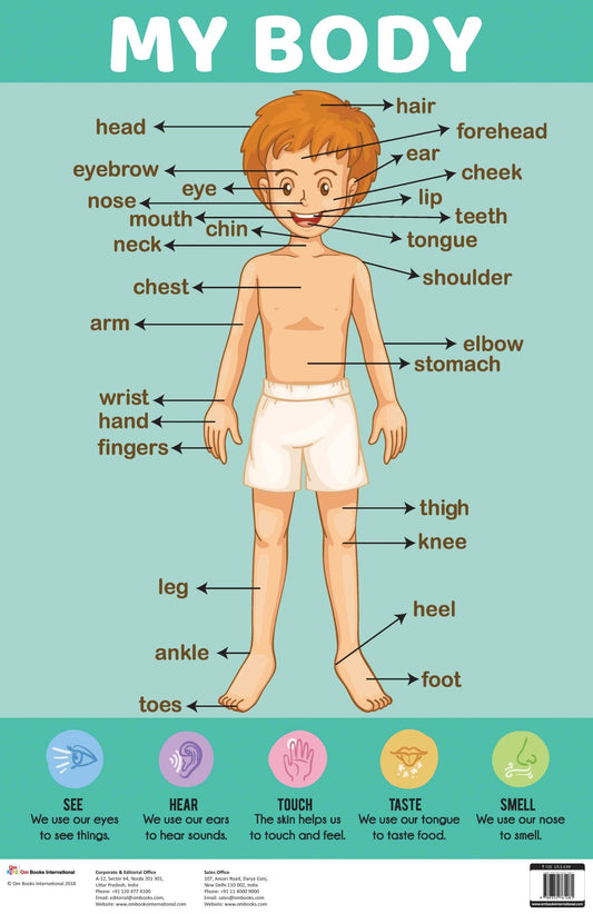 My Body : Charts - Om Books 