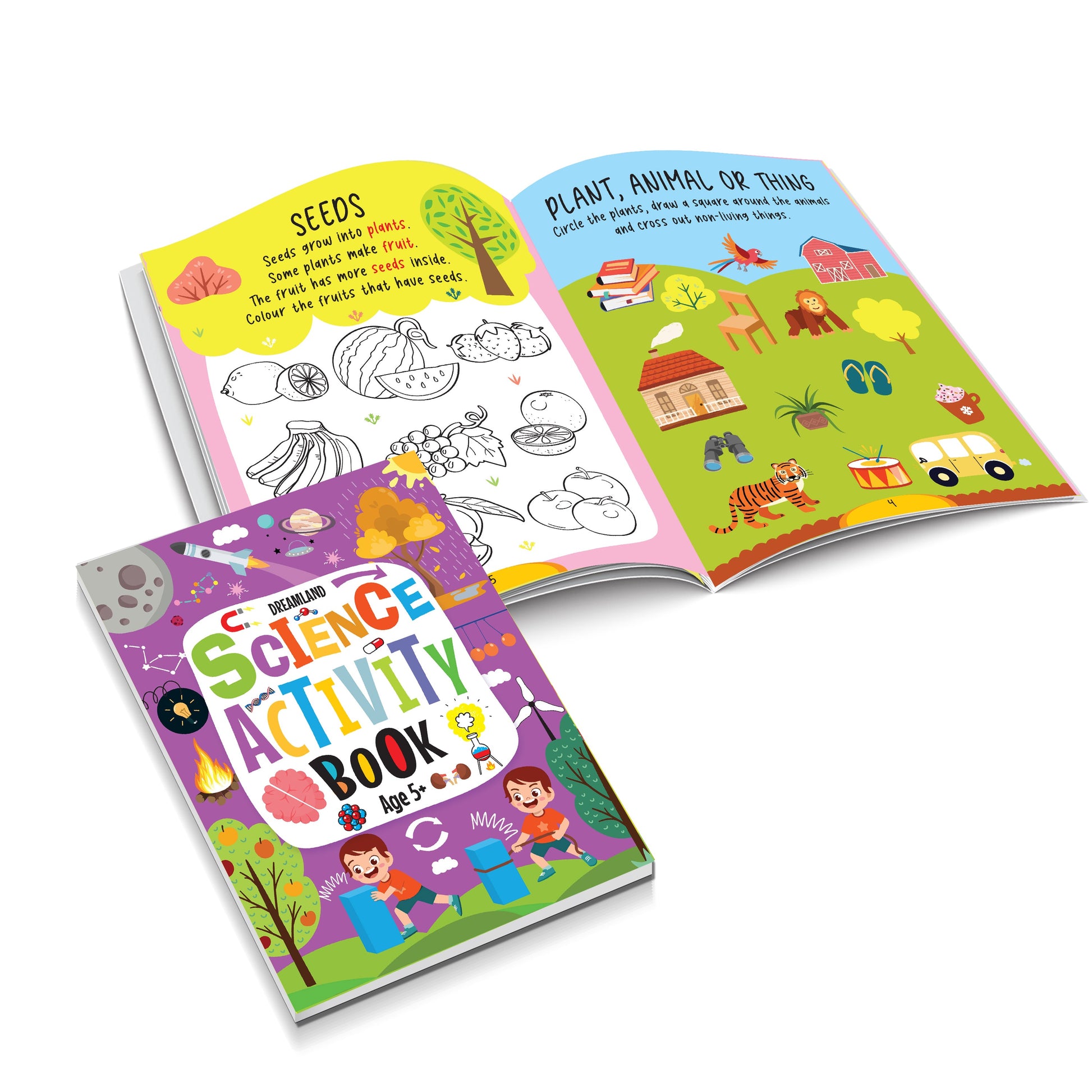 Dreamland Publications Science Activity Books Pack- A Set of 3 Books