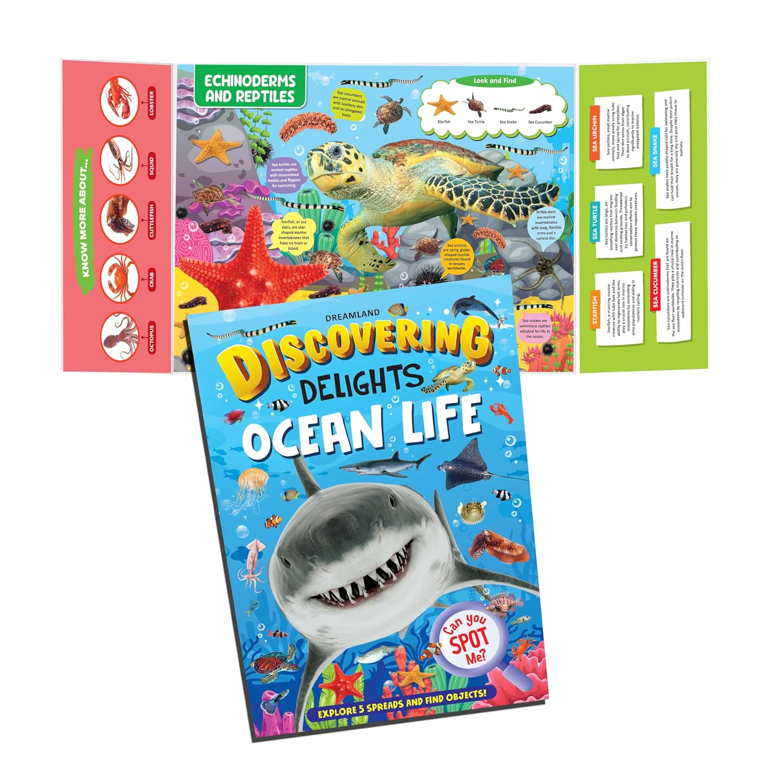 Dreamland Publications Discovering Delights Activity Book Pack for Kids Age 4 -10 years - A Set of 4 Books