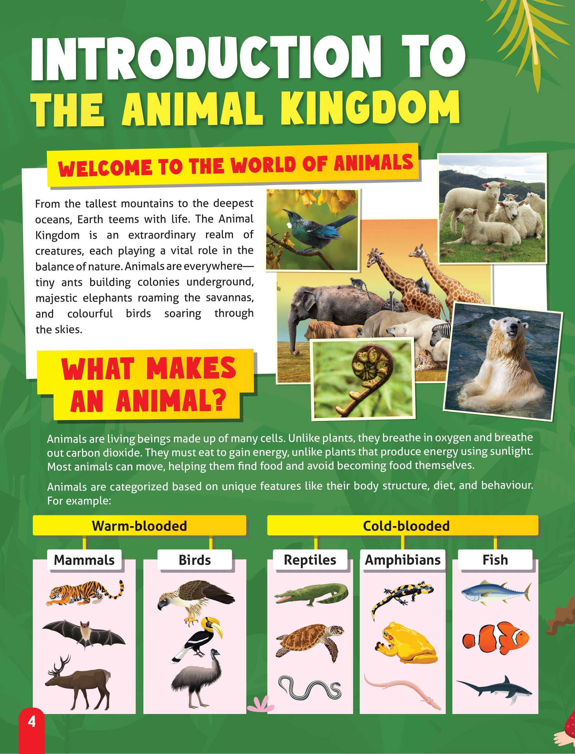 Dreamland Publications Junior Genius: Amazing Animals – A Fun-Filled Learning Book for Kids Age 7+ | Discover Incredible Creatures with Facts, Activities, and Puzzles