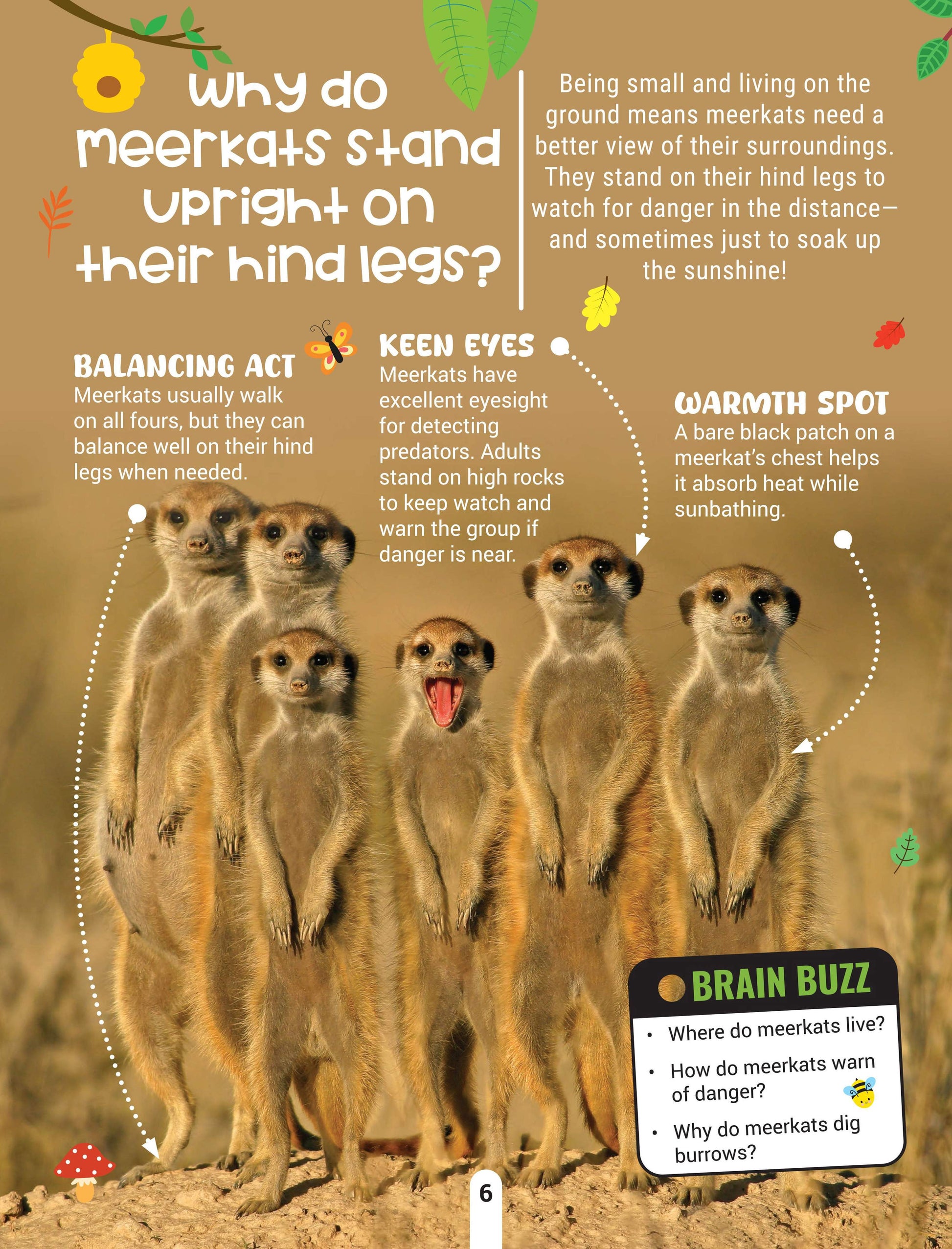 Dreamland Publications Factopedia Wild Wonders: A Fun Fact Book About Wildlife, Nature & Creatures for Kids Age 6+