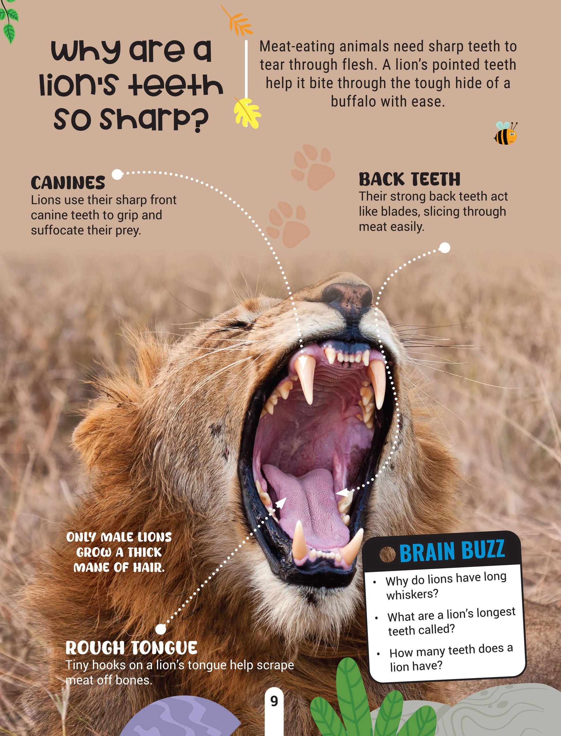 Dreamland Publications Factopedia Wild Wonders: A Fun Fact Book About Wildlife, Nature & Creatures for Kids Age 6+