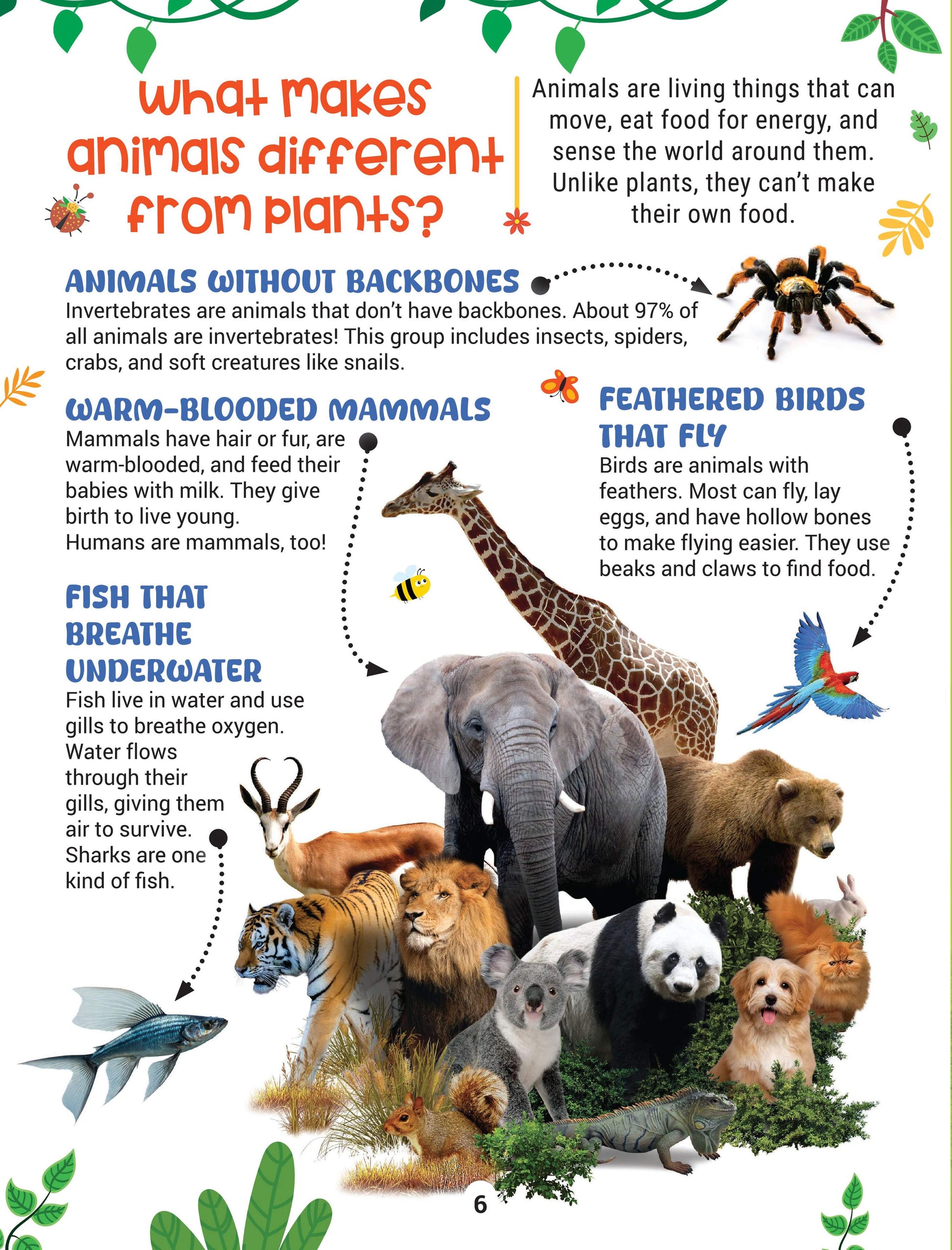 Dreamland Publications Factopedia Science Scoop: Incredible Science Facts for Kids Age 6+