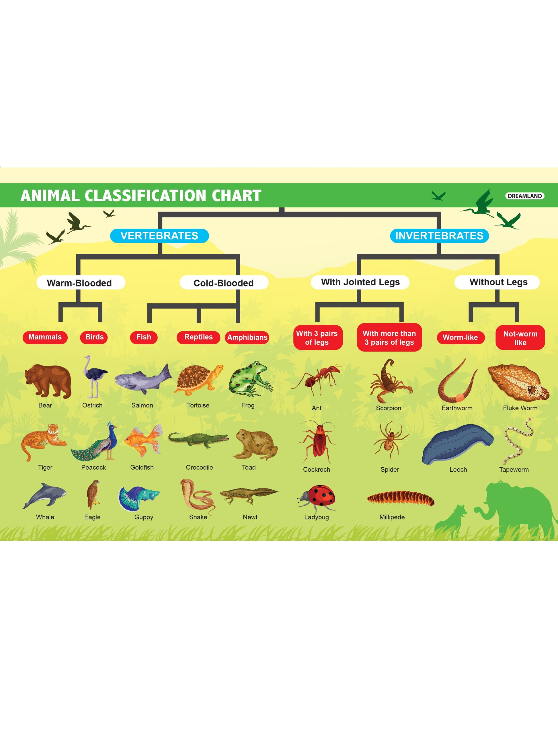 Dreamland Publications Everyday Wonders: Biology for Kids Age 6+ – Fun Facts and Exciting Activities About Living Things