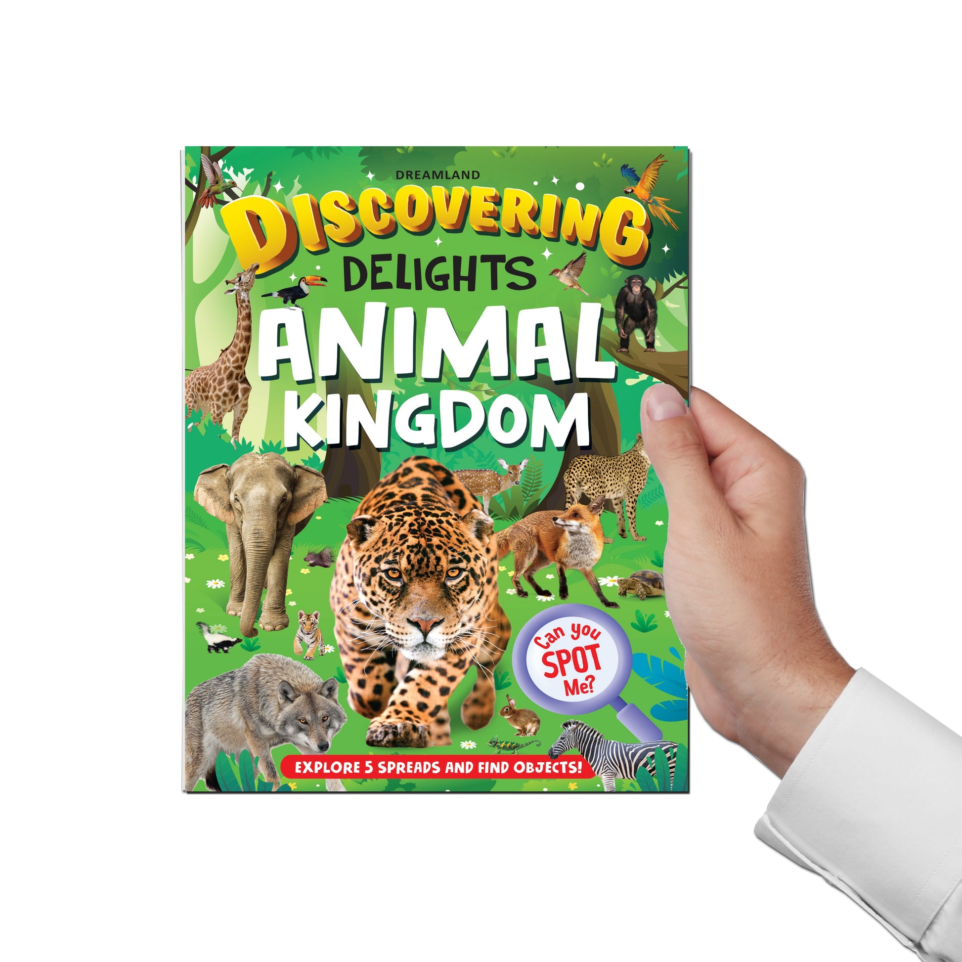 Dreamland Publications Animal Kingdom Discovering Delights Flap Book for Kids Age 4 - 10 years