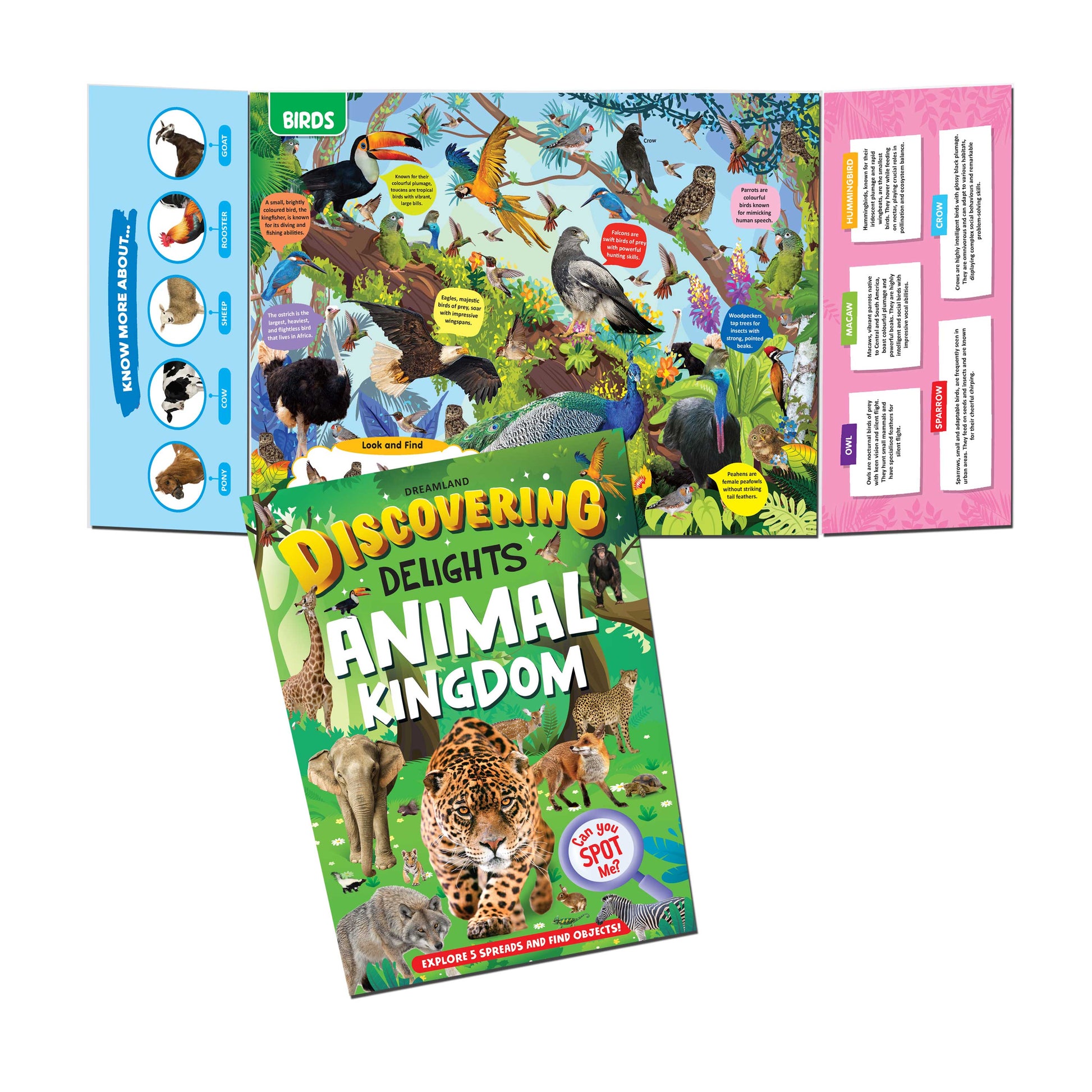 Dreamland Publications Animal Kingdom Discovering Delights Flap Book for Kids Age 4 - 10 years