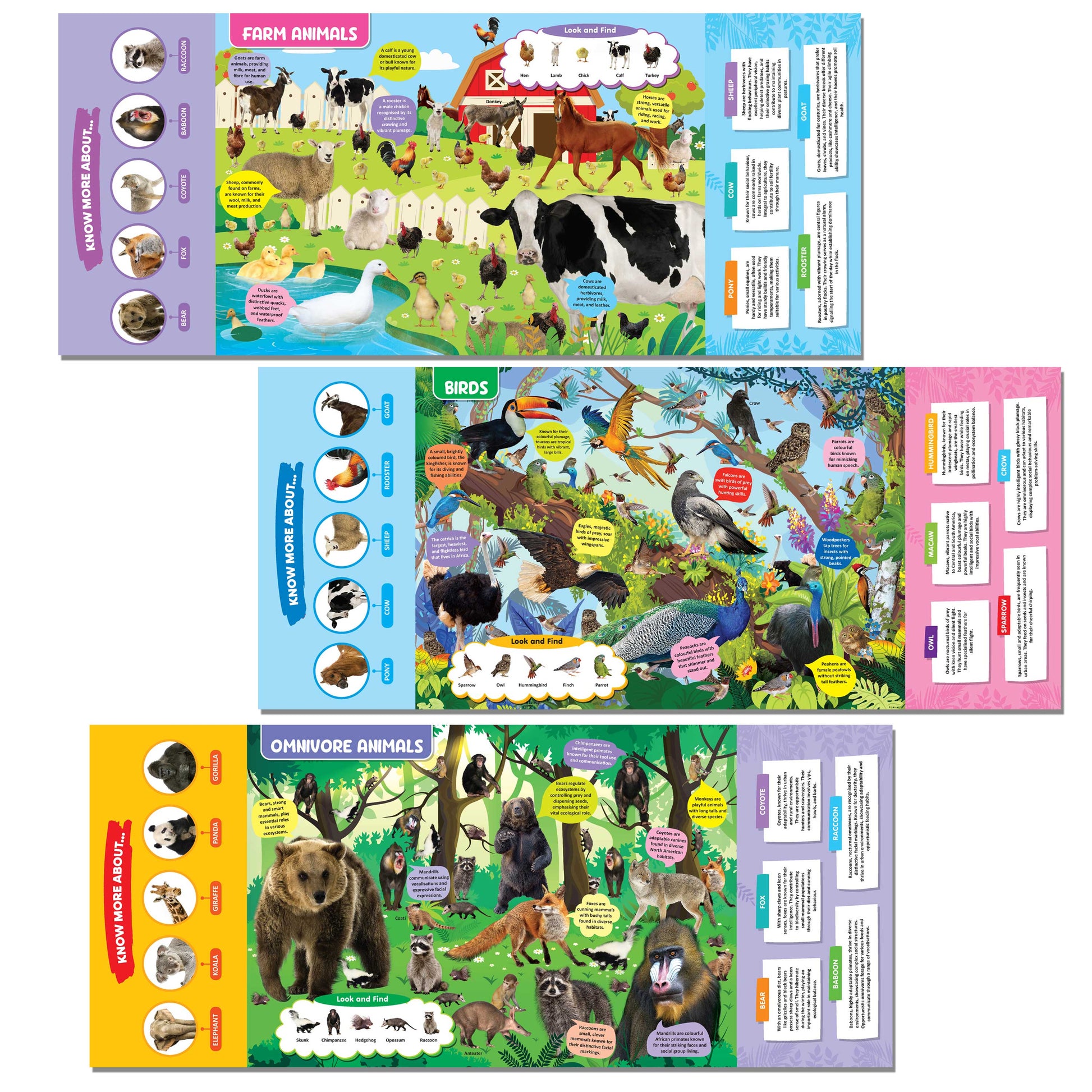 Dreamland Publications Animal Kingdom Discovering Delights Flap Book for Kids Age 4 - 10 years