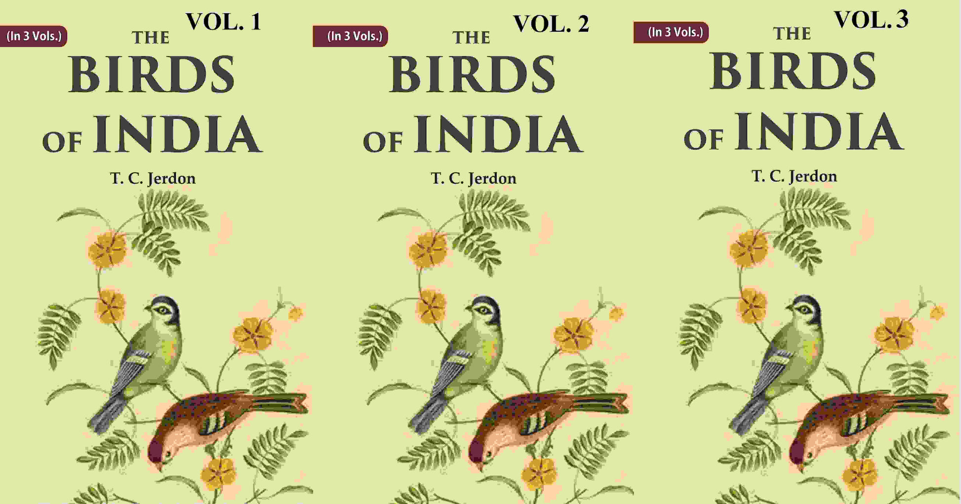 The Birds of India 3 vols. Set - Gyan Books 
