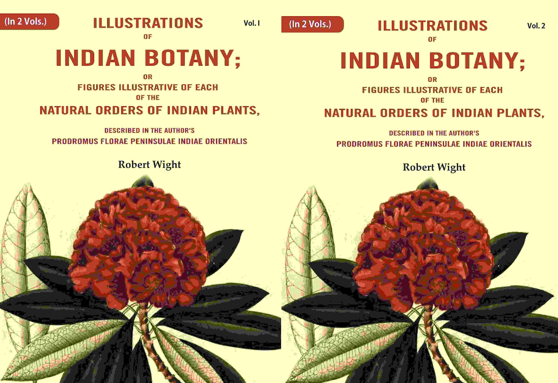 Illustrations Of Indian Botany; Or Figures Illustrative Of Each Of The Natural Orders Of Indian 2 Vols. Set - Gyan Books 