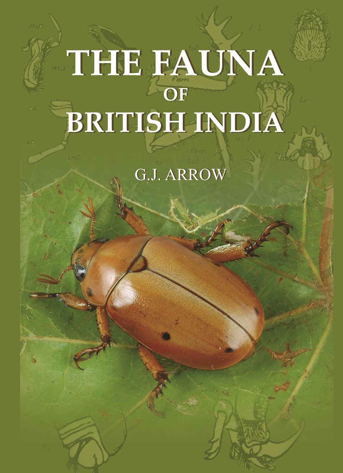 The Fauna Of British India - Gyan Books  Grab2Buy Gyan Books Grab2Buy