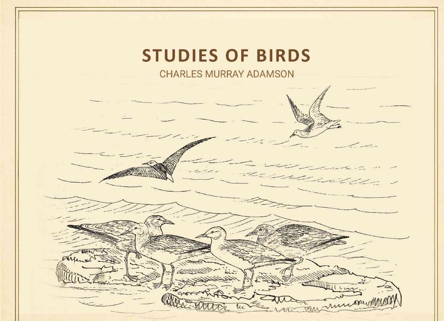 Studies of birds - Gyan Books