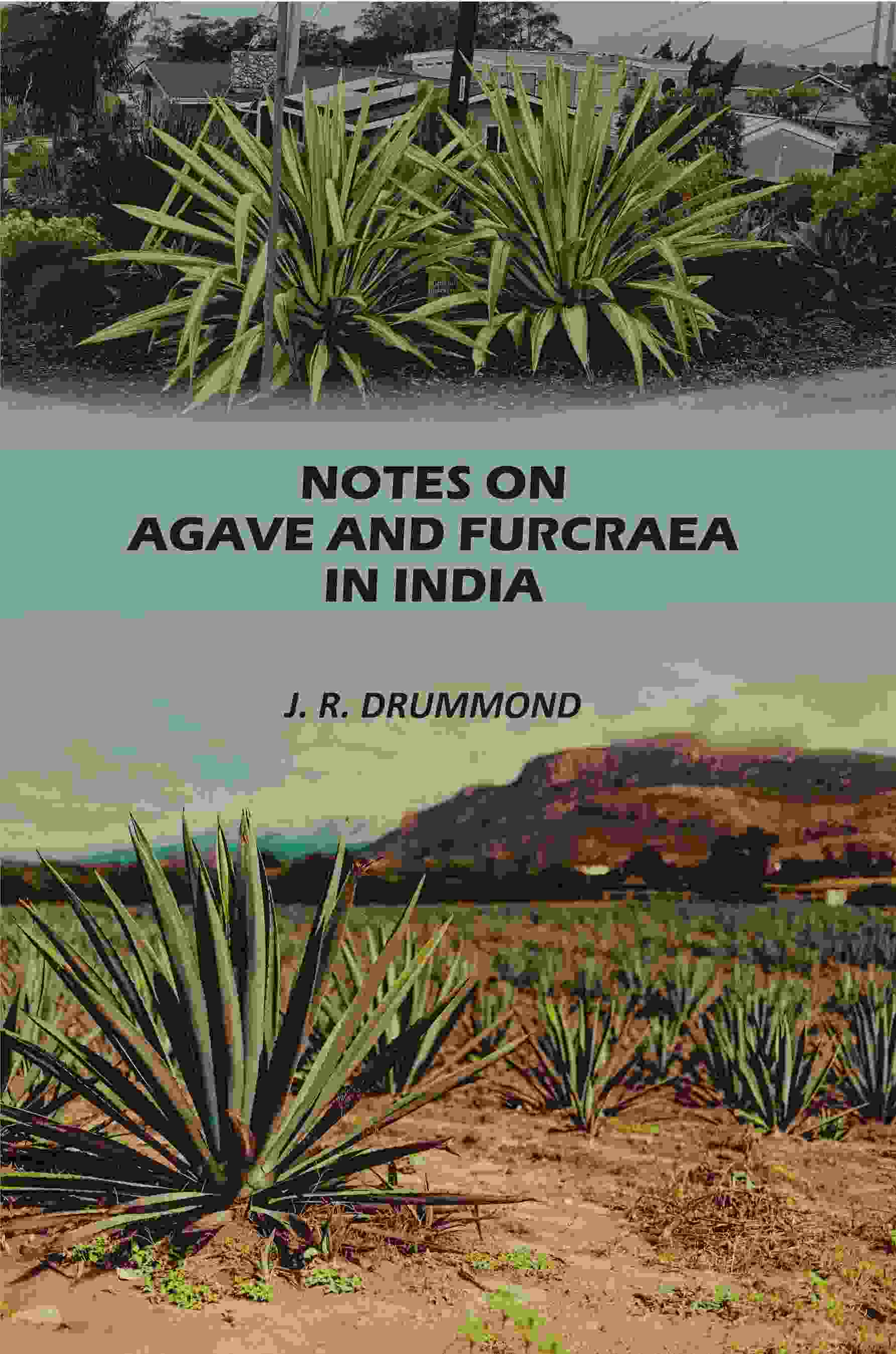 Notes on Agave and Furcraea in India - Gyan Books