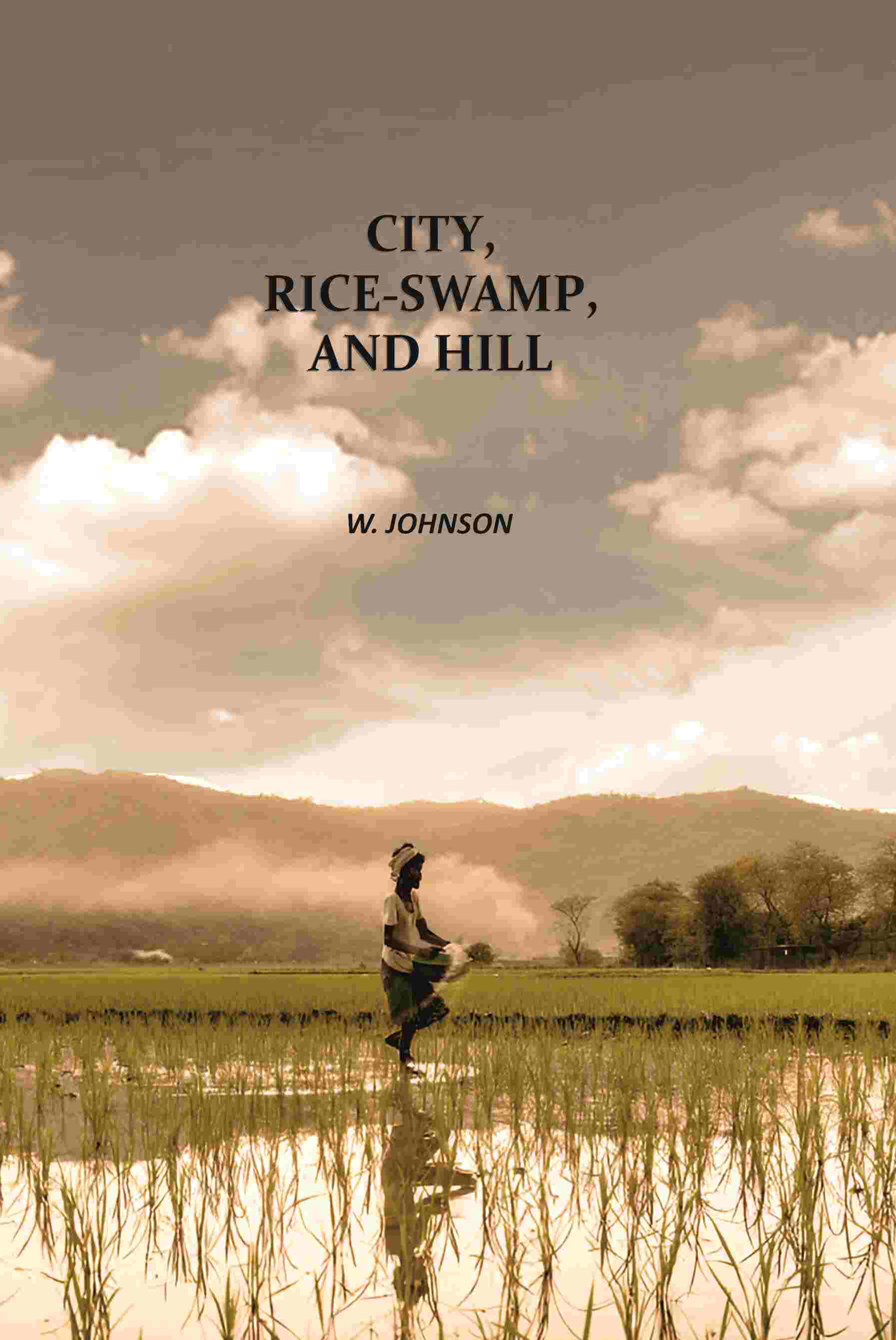 City, Rice-Swamp, And Hill - Gyan Books