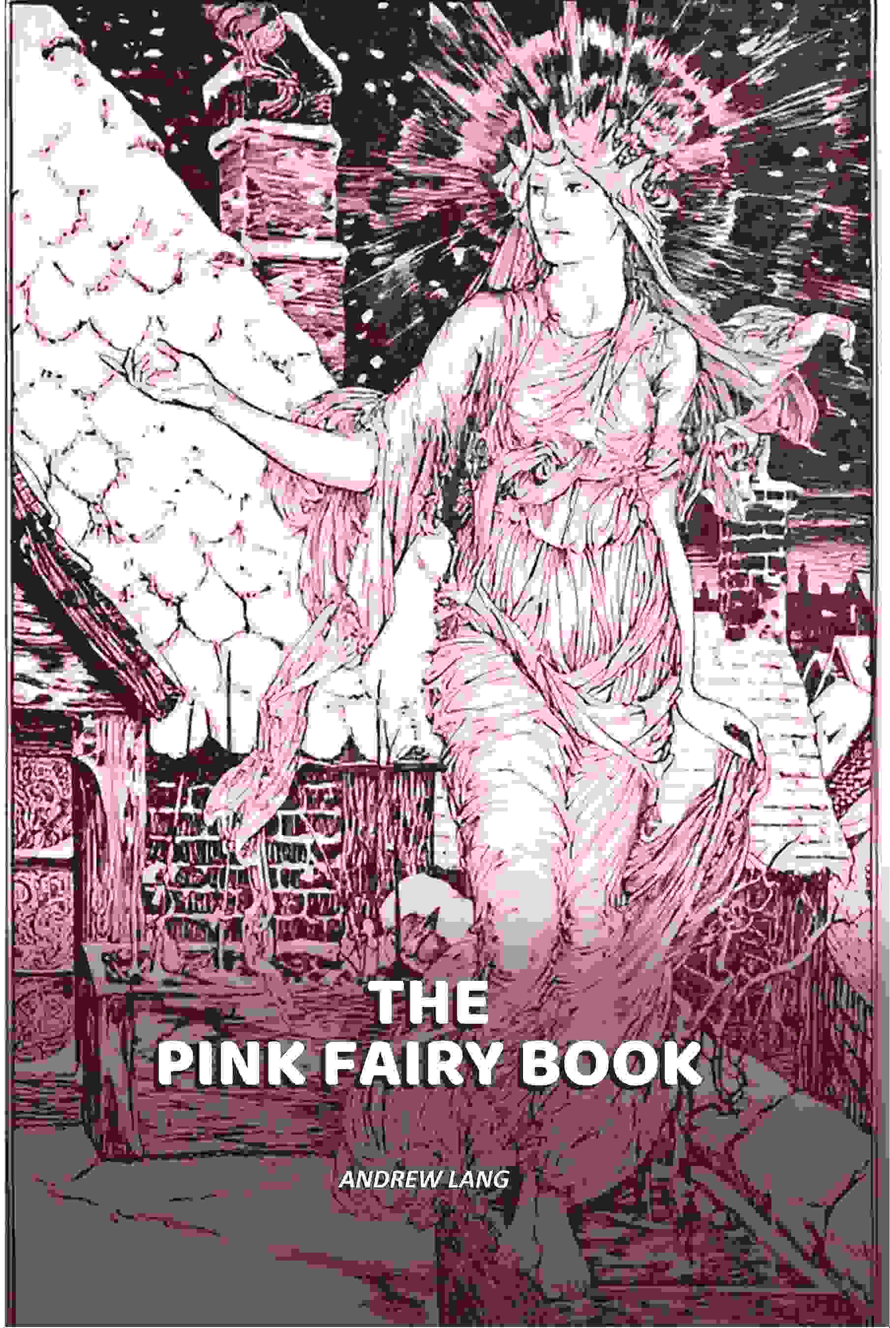 The Pink Fairy Book - Gyan Books  Grab2Buy Gyan Books Grab2Buy