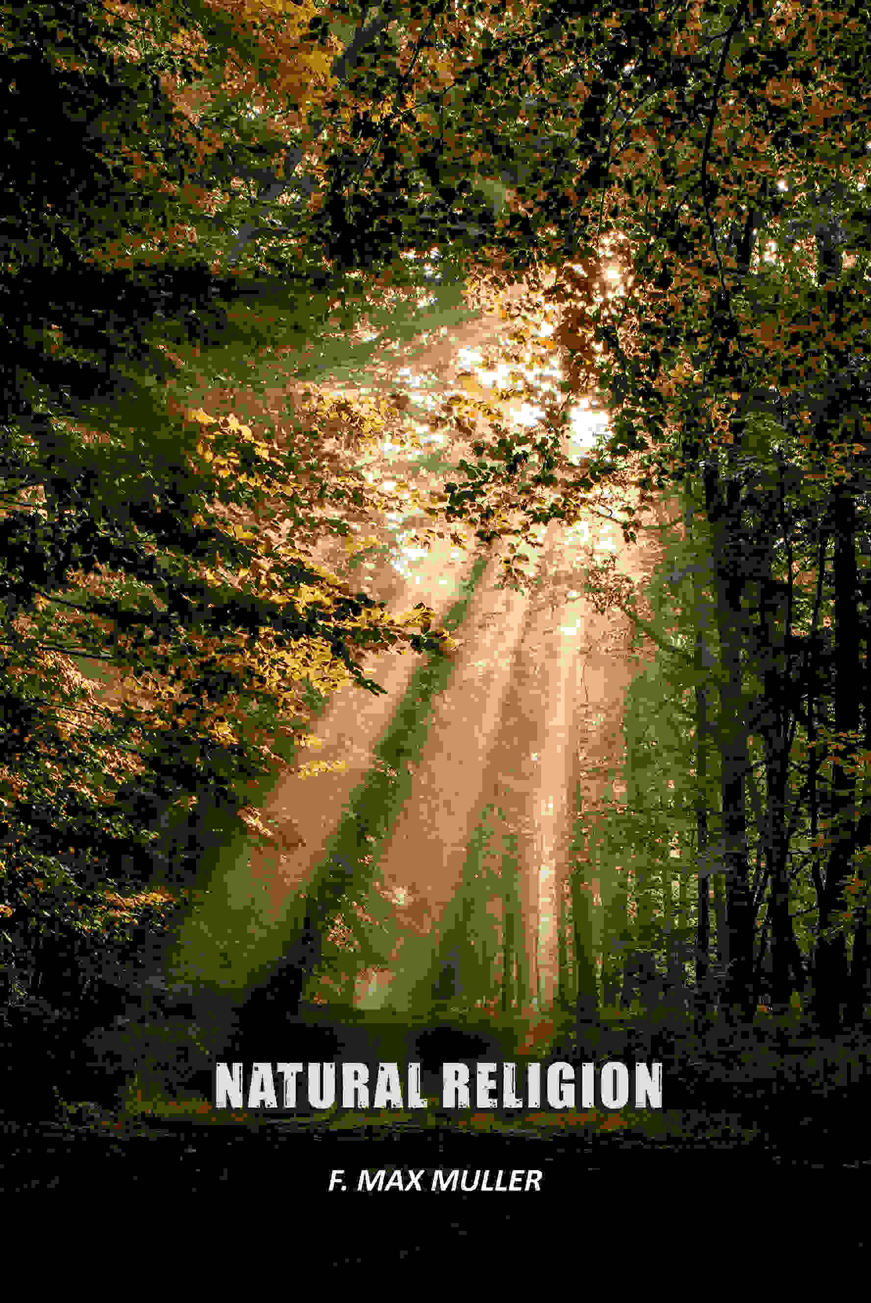 Natural Religion - Gyan Books