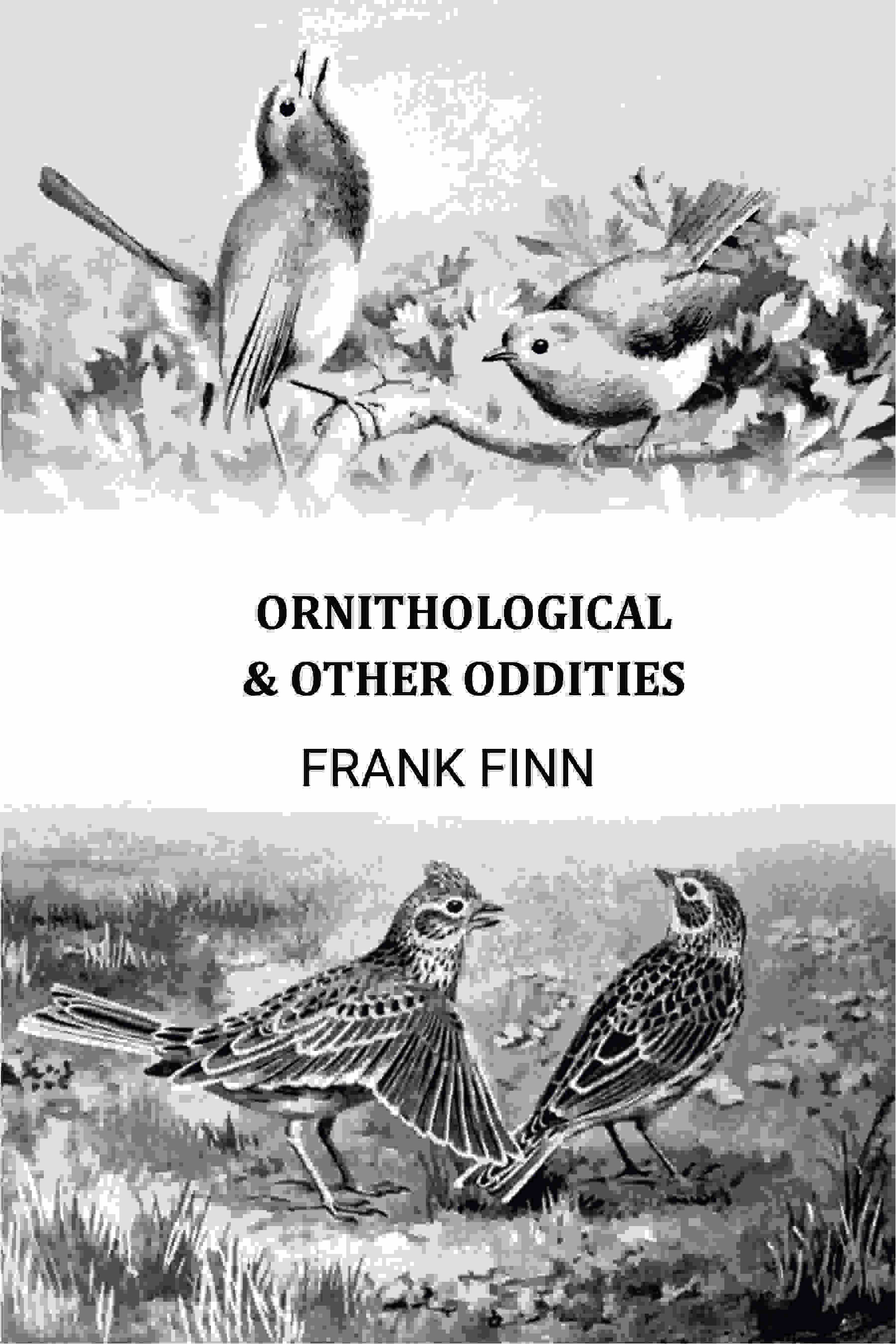 Ornithological & Other Oddities - Gyan Books